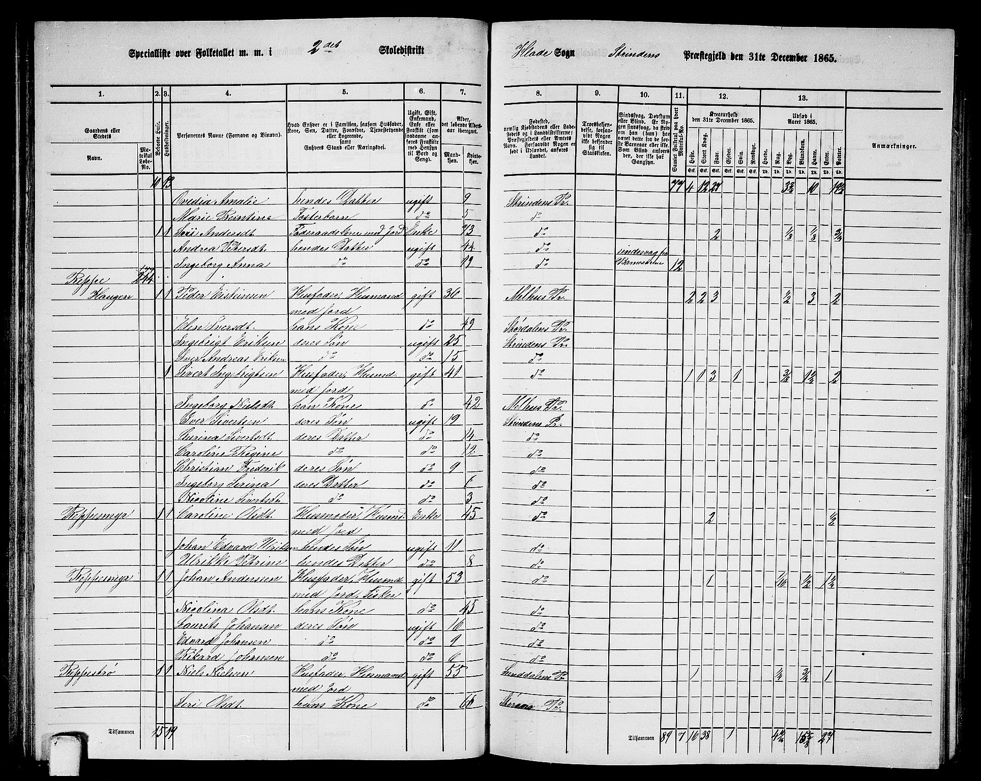 RA, 1865 census for Strinda, 1865, p. 62