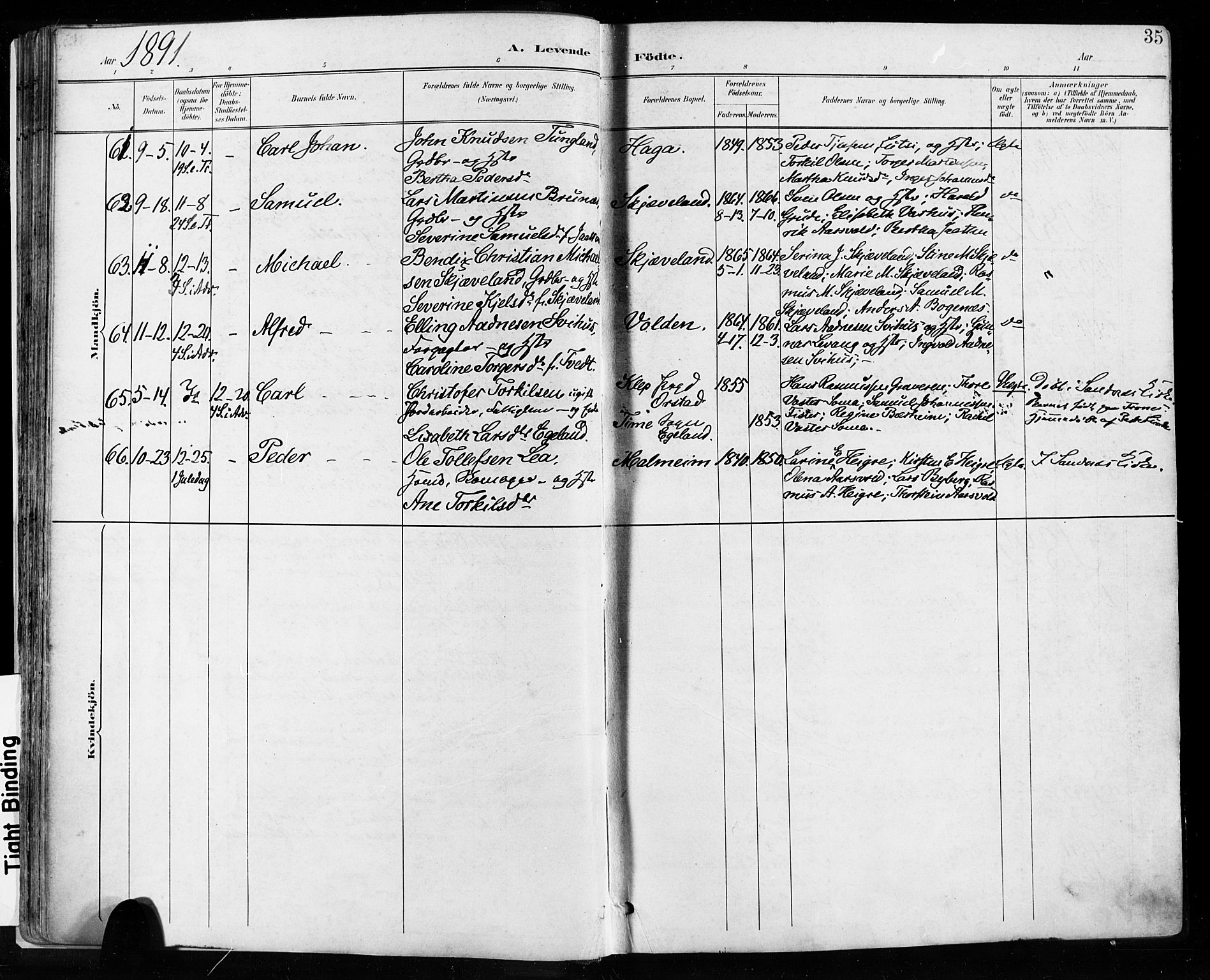 Høyland sokneprestkontor, SAST/A-101799/001/30BA/L0013: Parish register (official) no. A 13.1, 1889-1898, p. 35