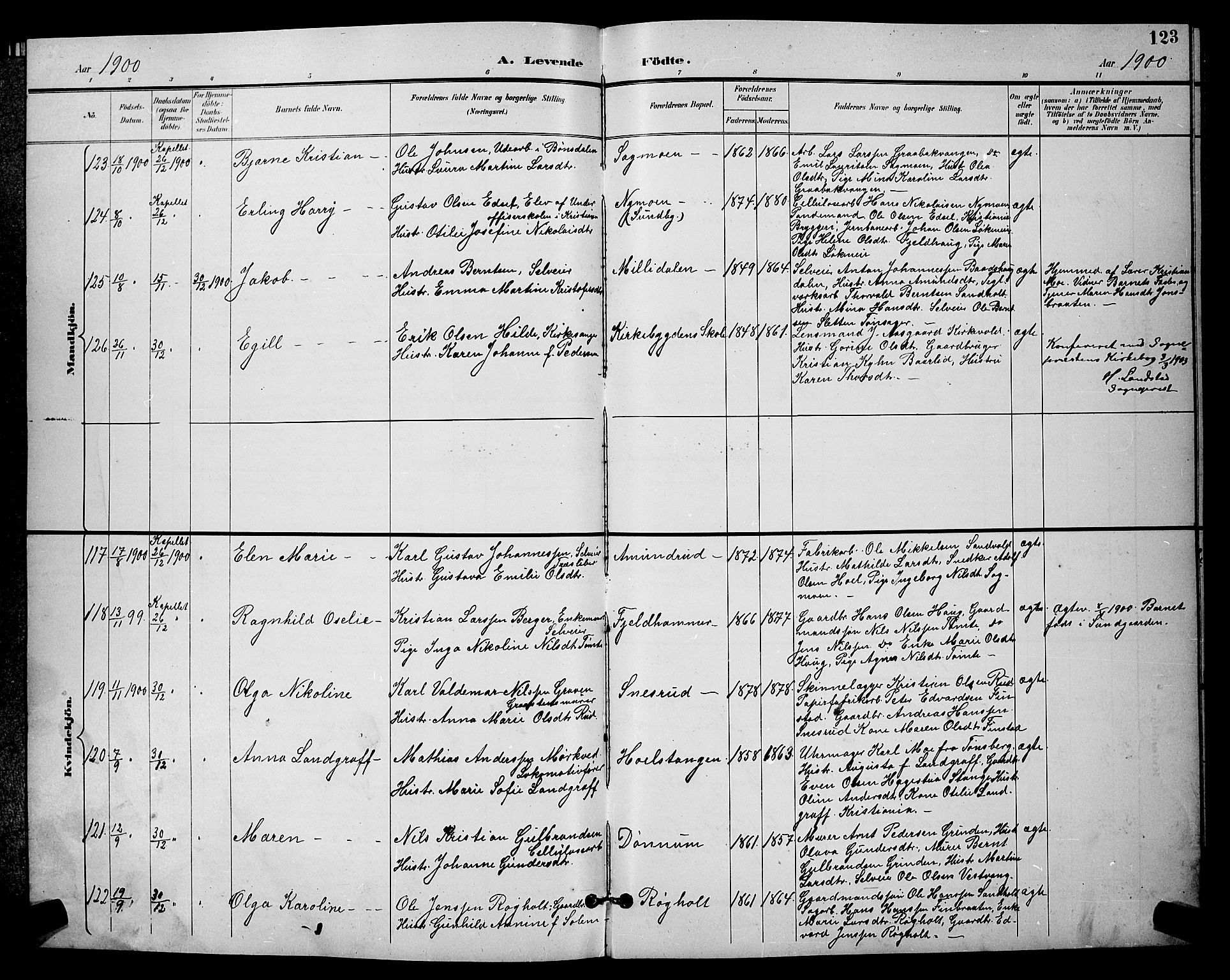 Eidsvoll prestekontor Kirkebøker, AV/SAO-A-10888/G/Ga/L0006: Parish register (copy) no. I 6, 1895-1901, p. 123