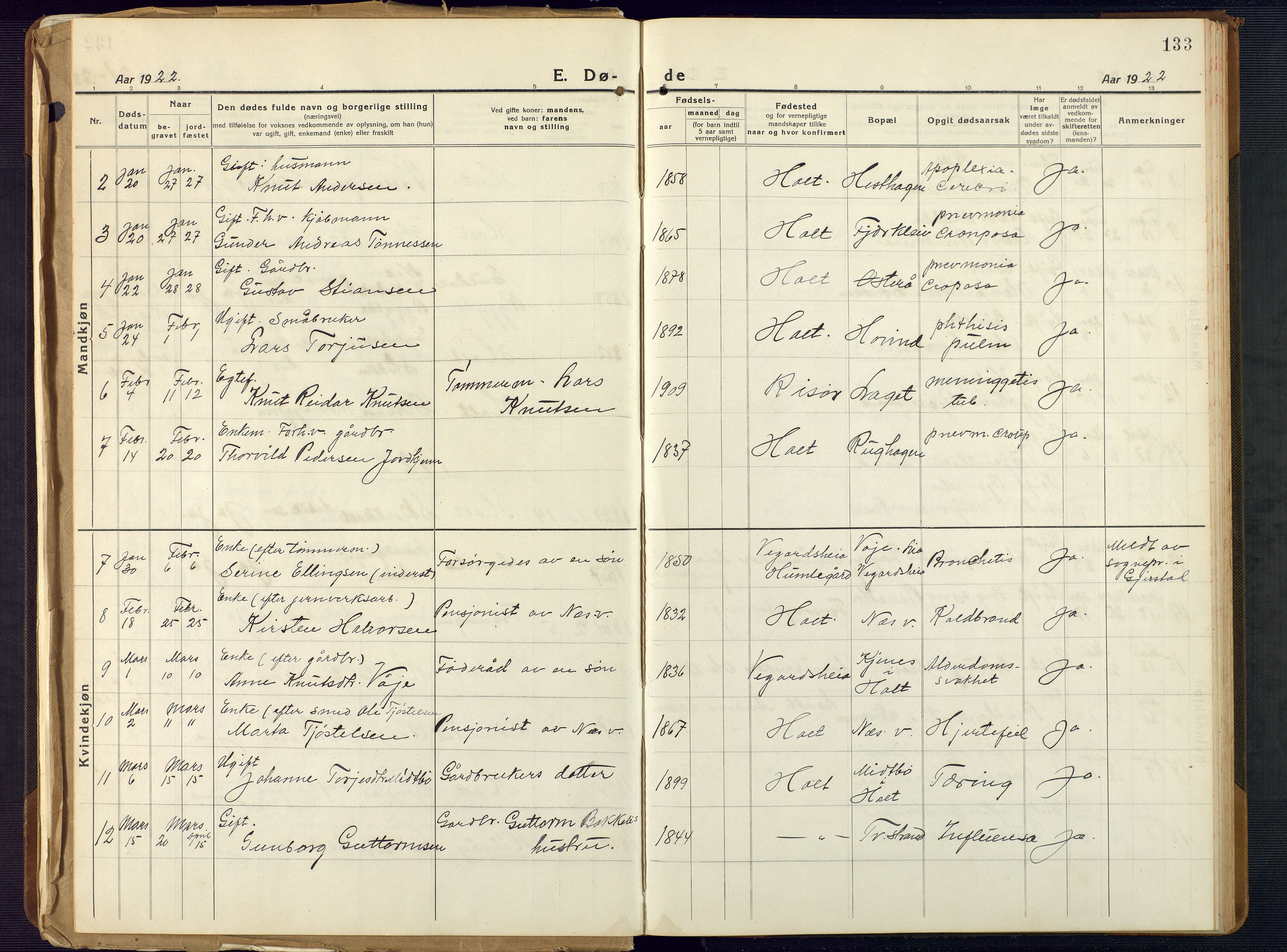 Holt sokneprestkontor, SAK/1111-0021/F/Fb/L0012: Parish register (copy) no. B 12, 1919-1944, p. 133