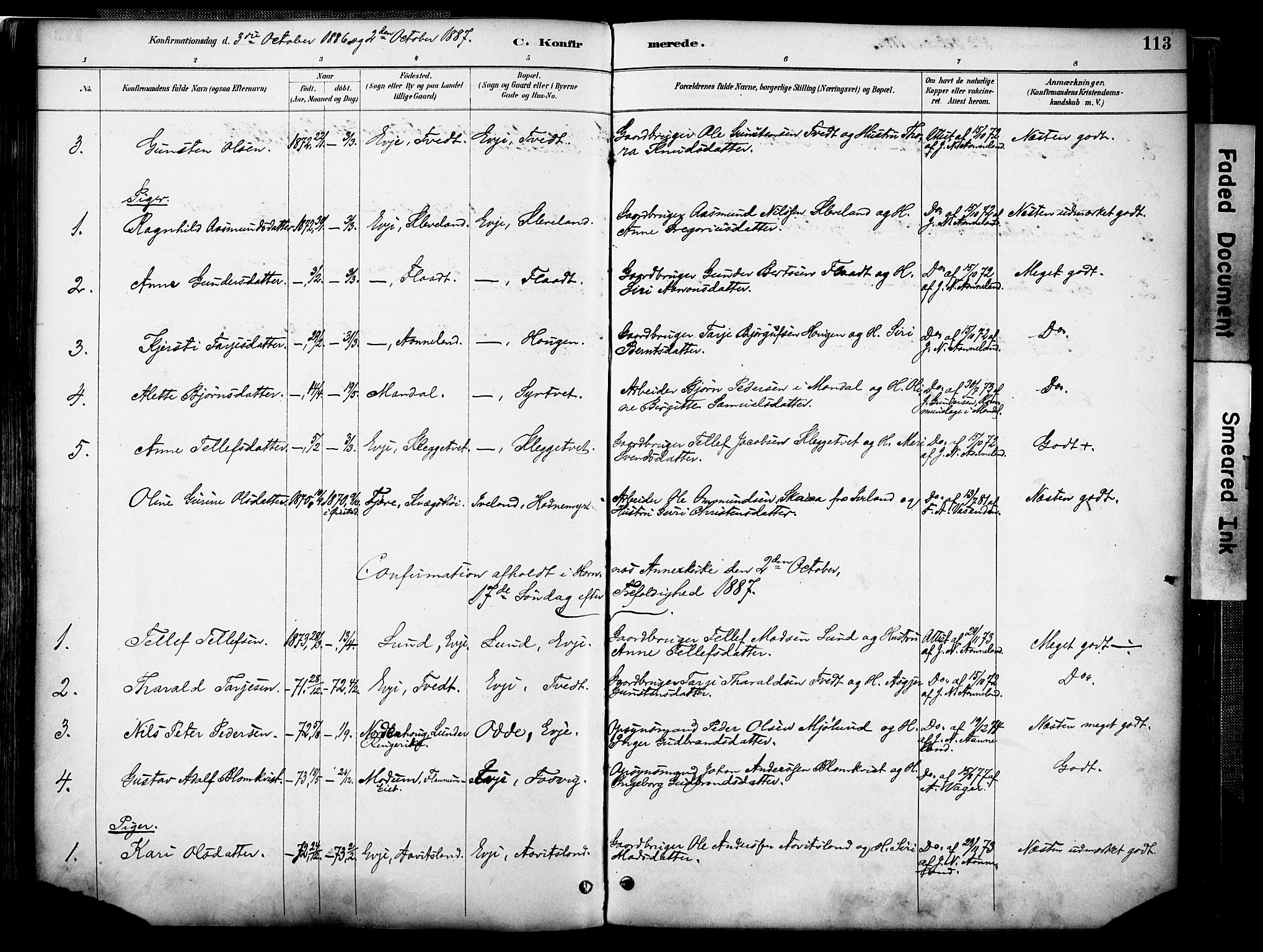 Evje sokneprestkontor, AV/SAK-1111-0008/F/Fa/Faa/L0007: Parish register (official) no. A 7, 1884-1909, p. 113