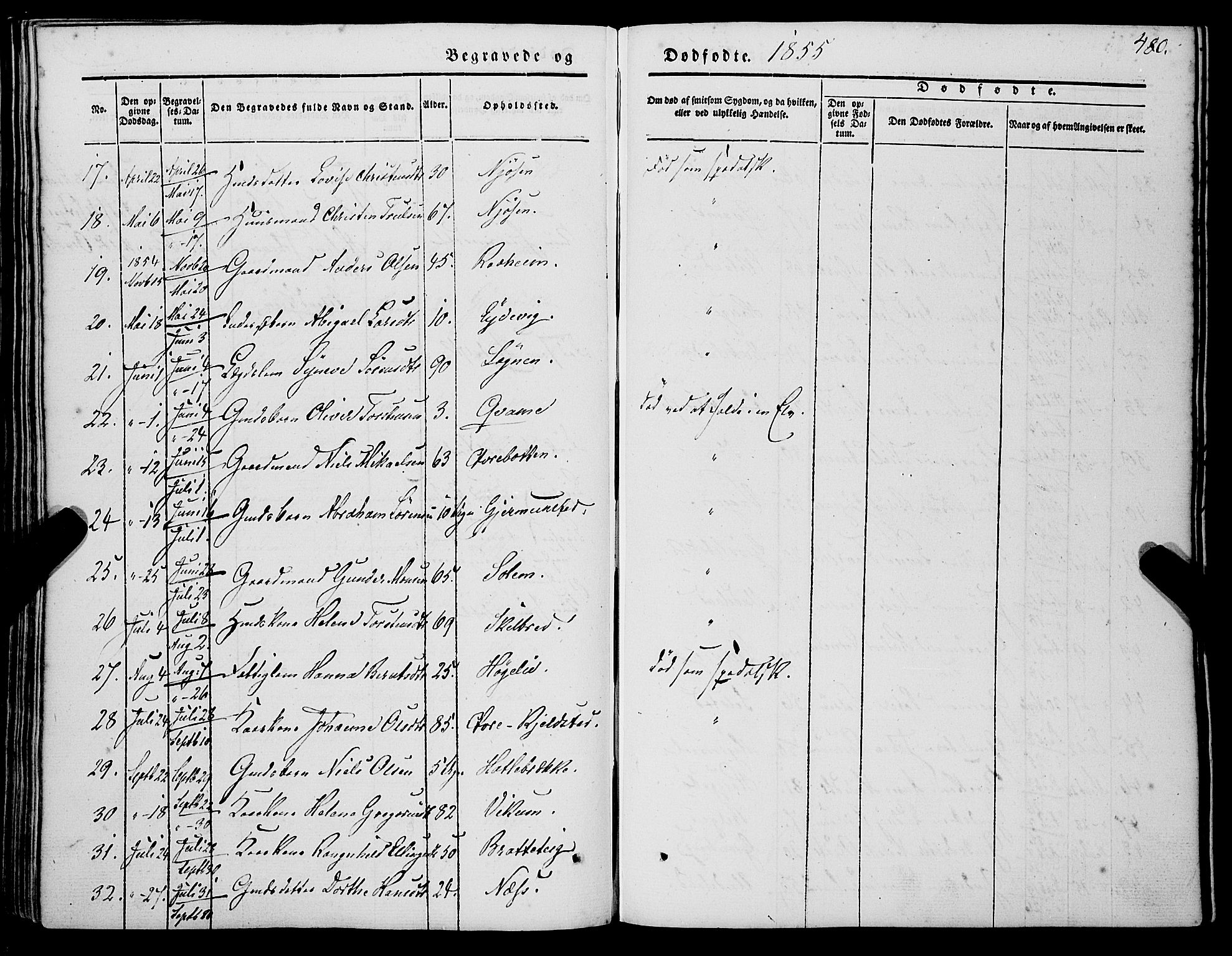 Gaular sokneprestembete, AV/SAB-A-80001/H/Haa: Parish register (official) no. A 4II, 1841-1859, p. 480