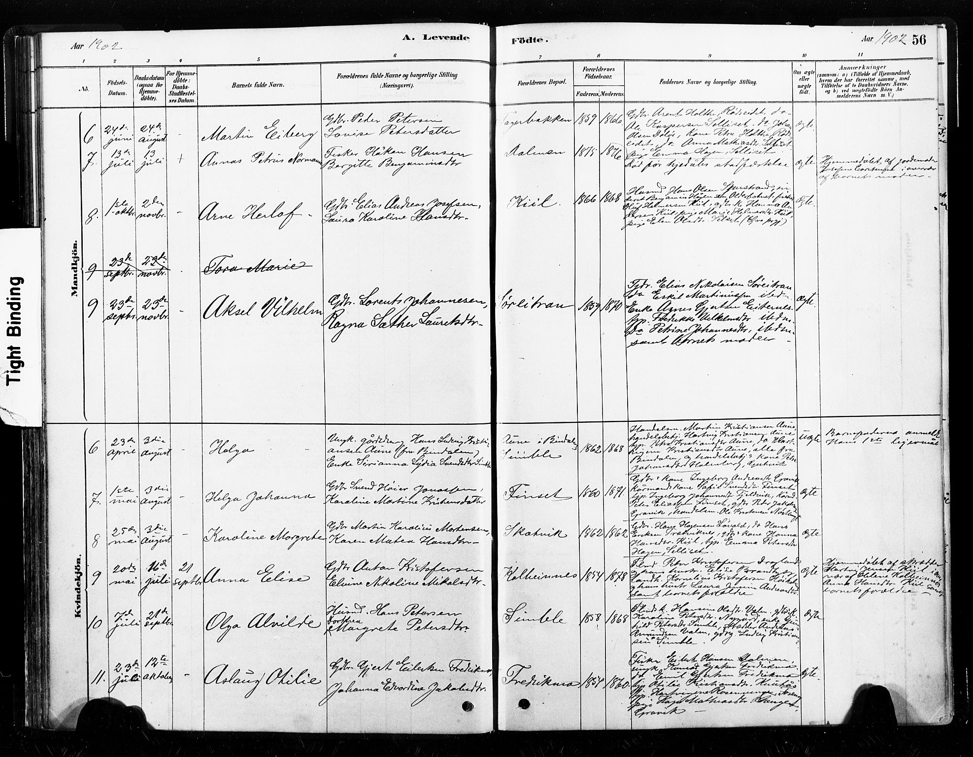 Ministerialprotokoller, klokkerbøker og fødselsregistre - Nord-Trøndelag, SAT/A-1458/789/L0705: Parish register (official) no. 789A01, 1878-1910, p. 56