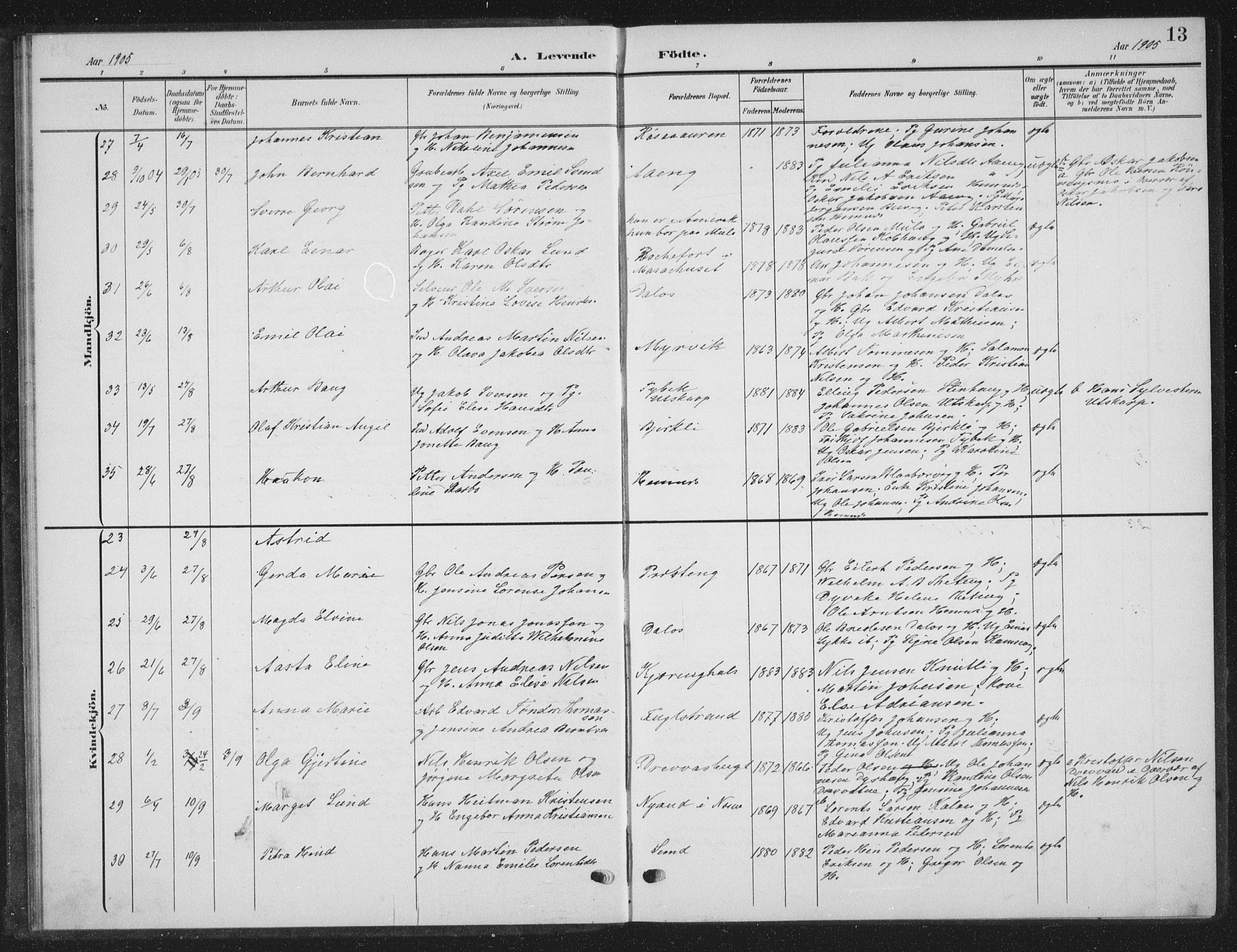 Ministerialprotokoller, klokkerbøker og fødselsregistre - Nordland, AV/SAT-A-1459/825/L0370: Parish register (copy) no. 825C07, 1903-1923, p. 13