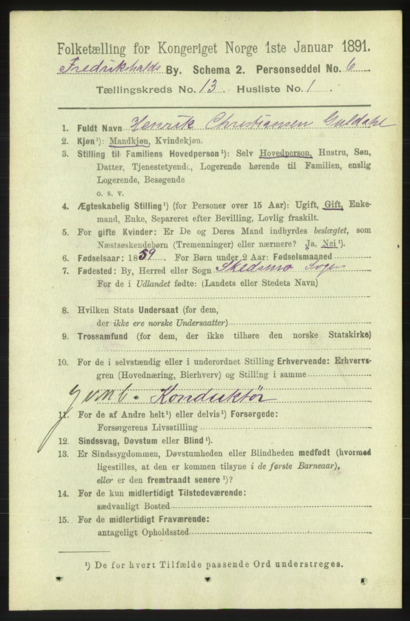 RA, 1891 census for 0101 Fredrikshald, 1891, p. 8791