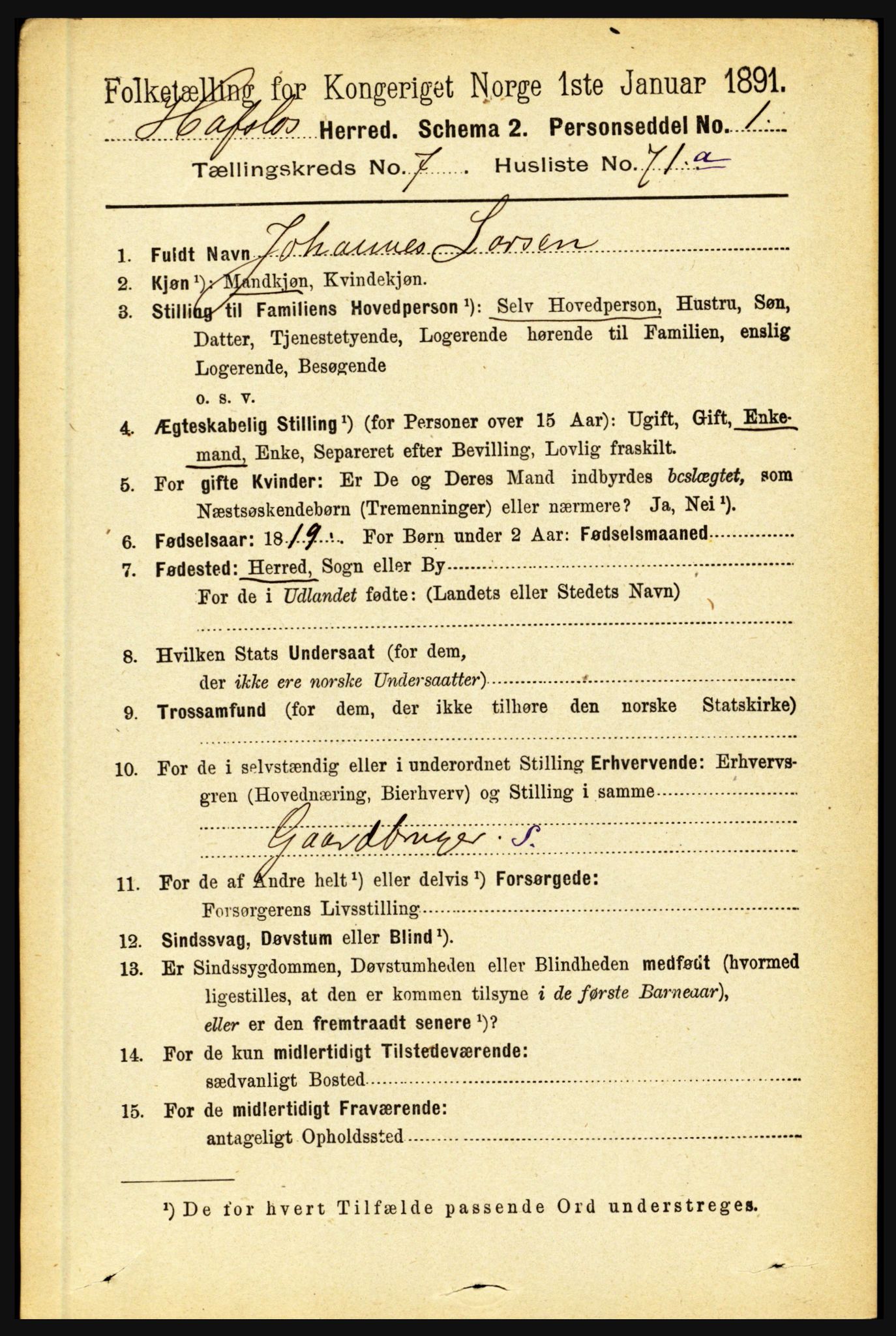 RA, 1891 census for 1425 Hafslo, 1891, p. 3121