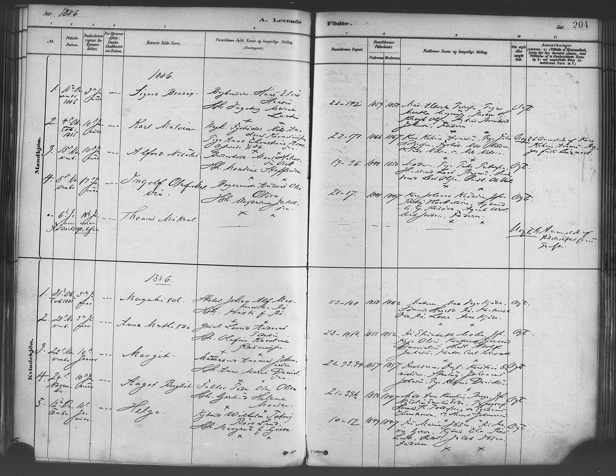 Korskirken sokneprestembete, SAB/A-76101/H/Haa/L0021: Parish register (official) no. B 7, 1878-1889, p. 204