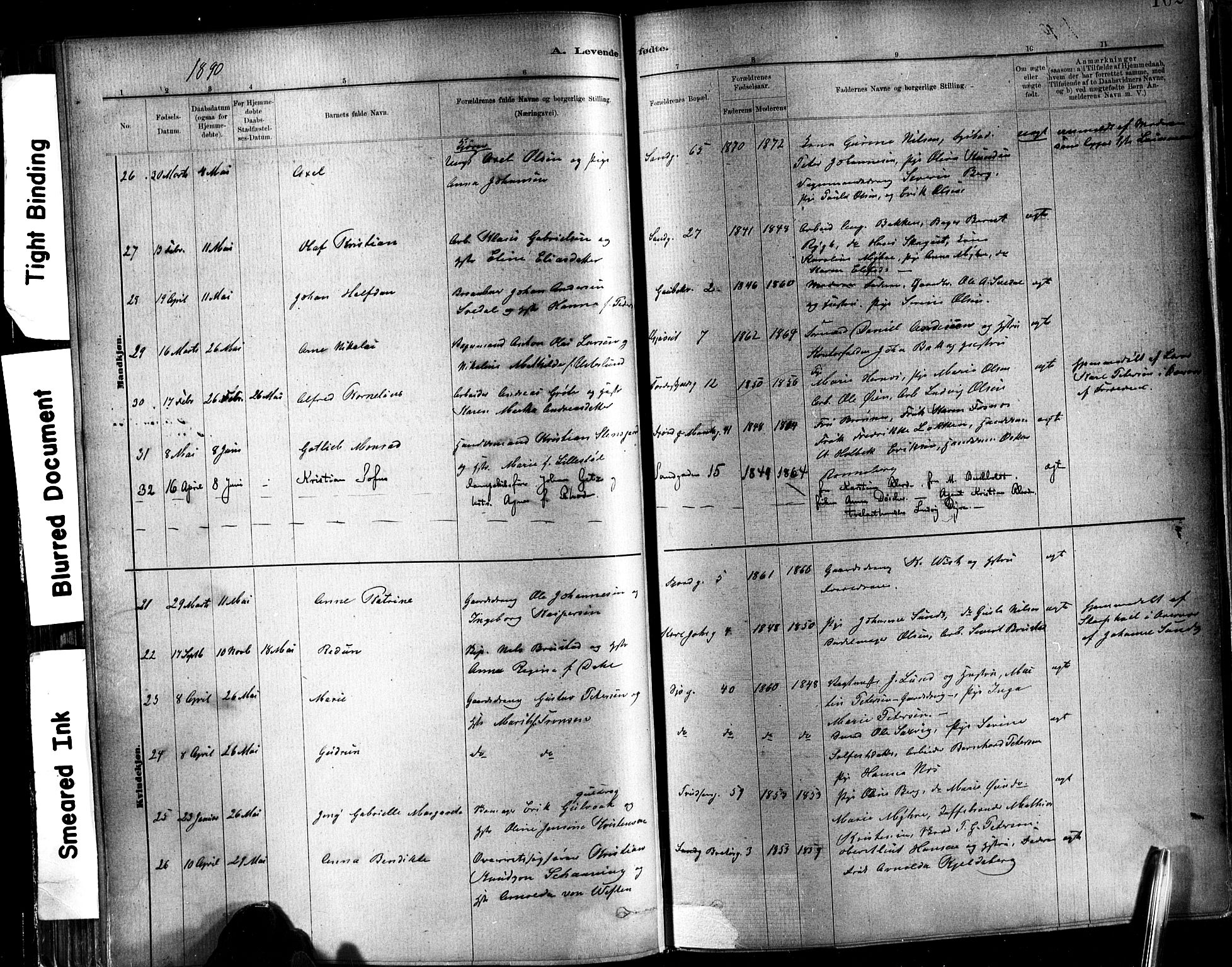 Ministerialprotokoller, klokkerbøker og fødselsregistre - Sør-Trøndelag, SAT/A-1456/602/L0119: Parish register (official) no. 602A17, 1880-1901, p. 102