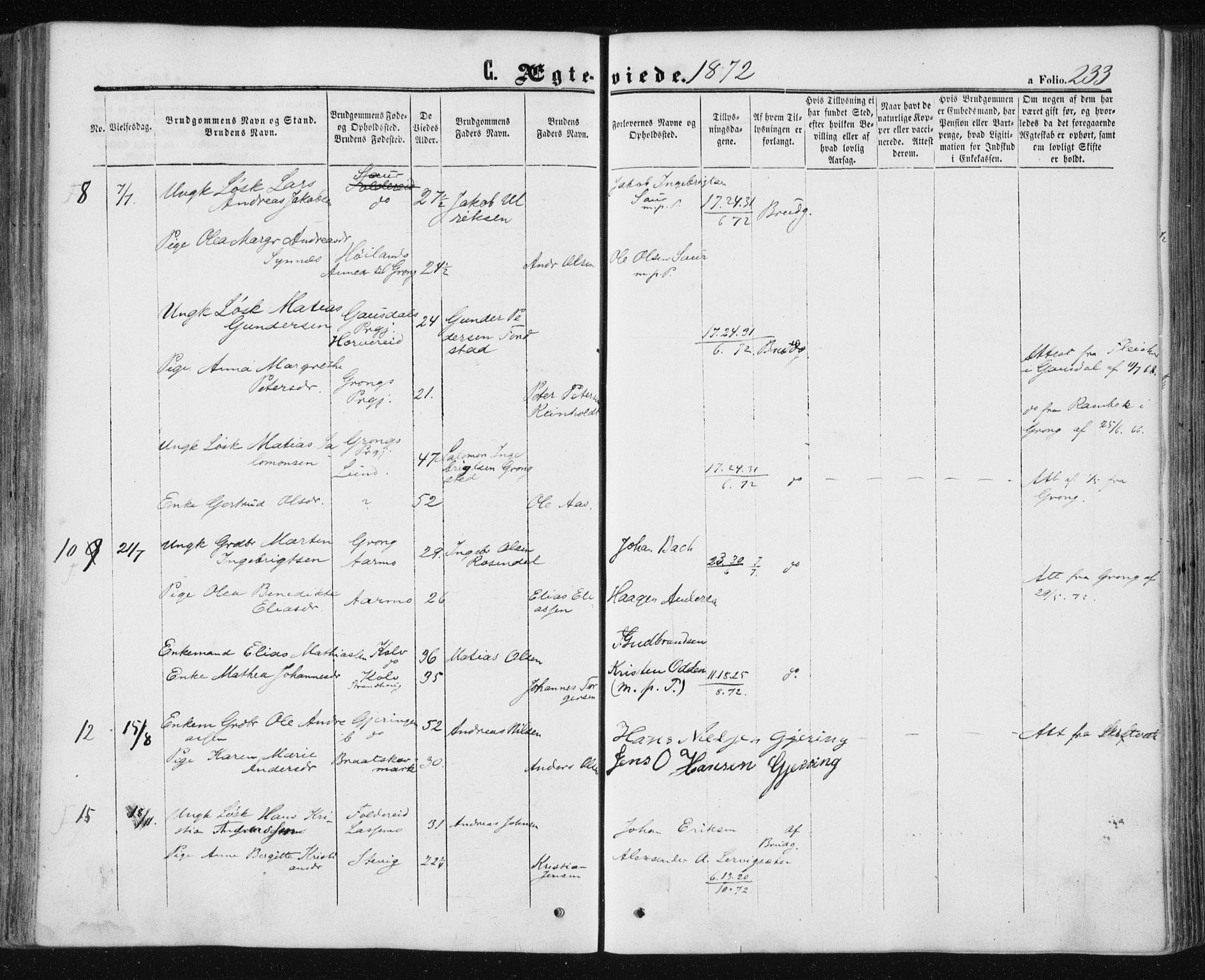 Ministerialprotokoller, klokkerbøker og fødselsregistre - Nord-Trøndelag, AV/SAT-A-1458/780/L0641: Parish register (official) no. 780A06, 1857-1874, p. 233