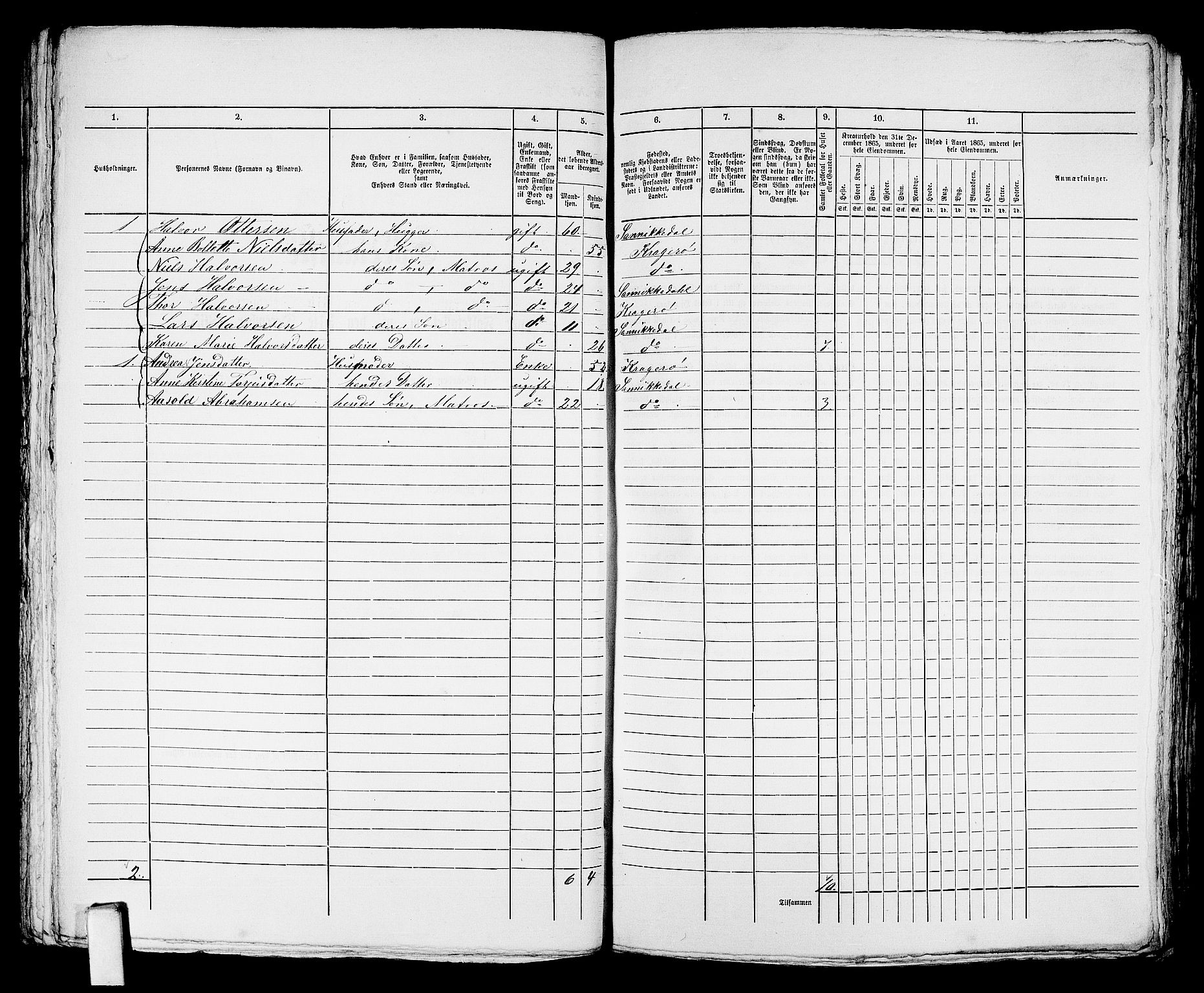 RA, 1865 census for Kragerø/Kragerø, 1865, p. 194
