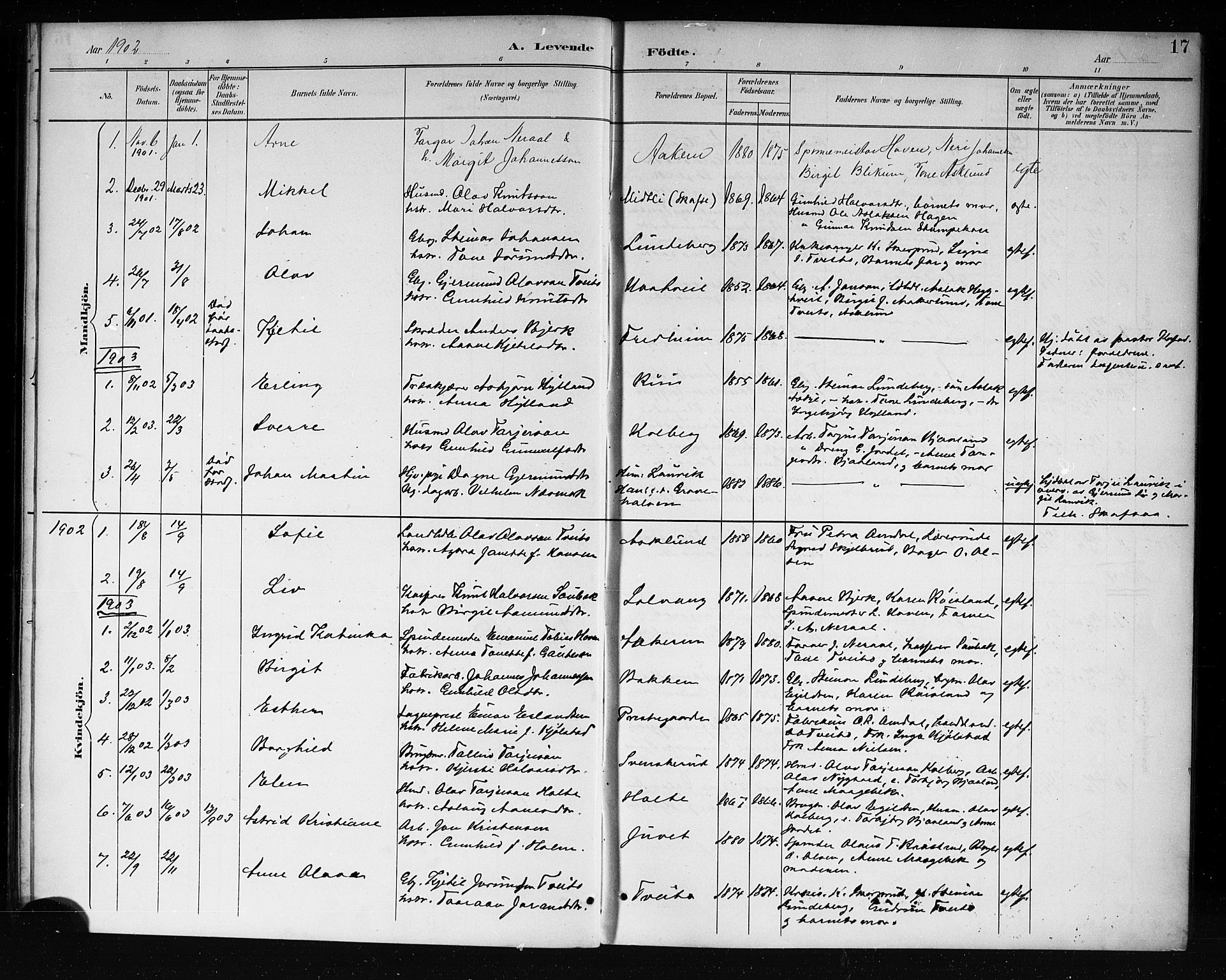 Lårdal kirkebøker, SAKO/A-284/G/Ga/L0003: Parish register (copy) no. I 3, 1891-1918, p. 17
