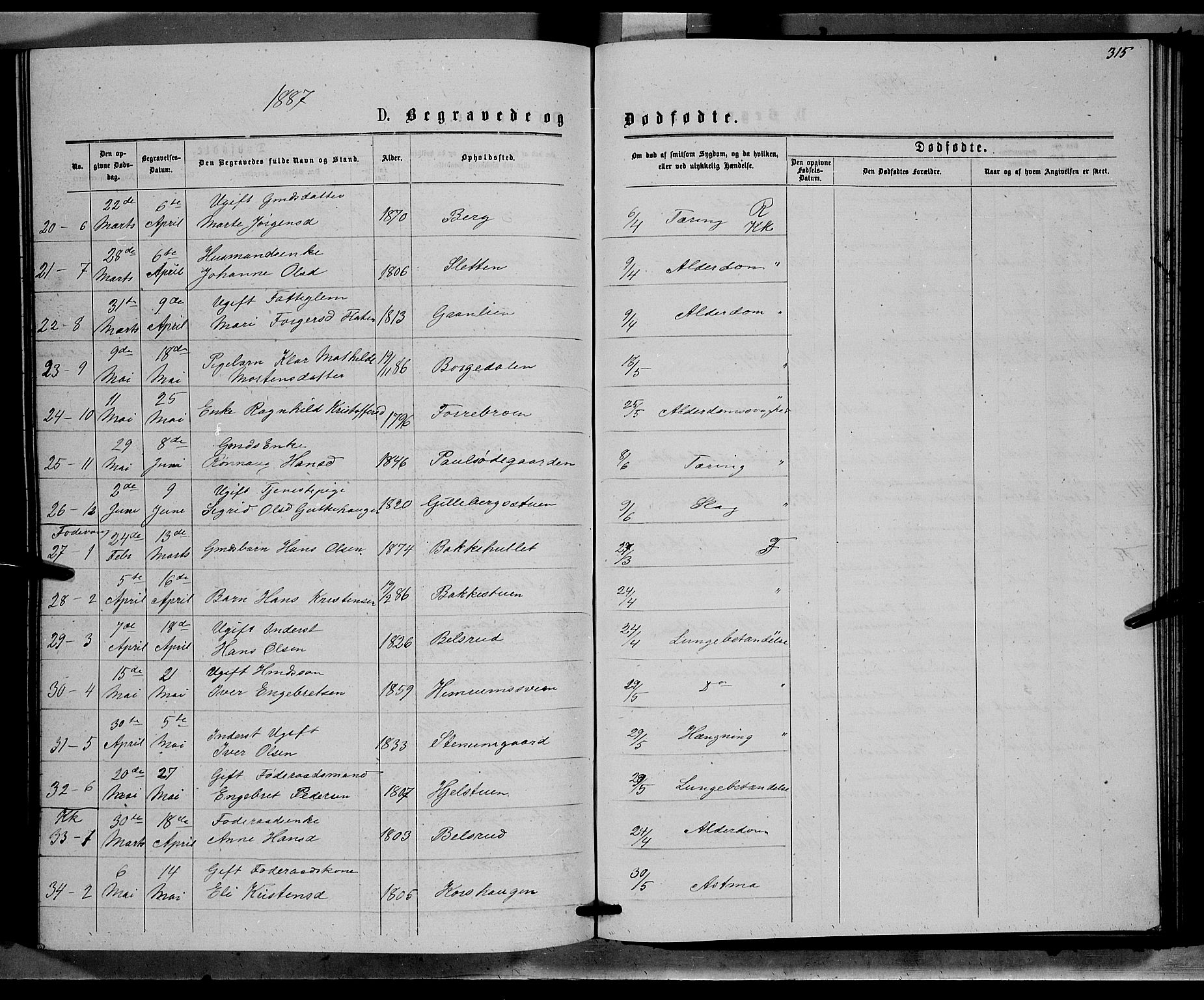 Ringebu prestekontor, AV/SAH-PREST-082/H/Ha/Hab/L0006: Parish register (copy) no. 6, 1880-1898, p. 315