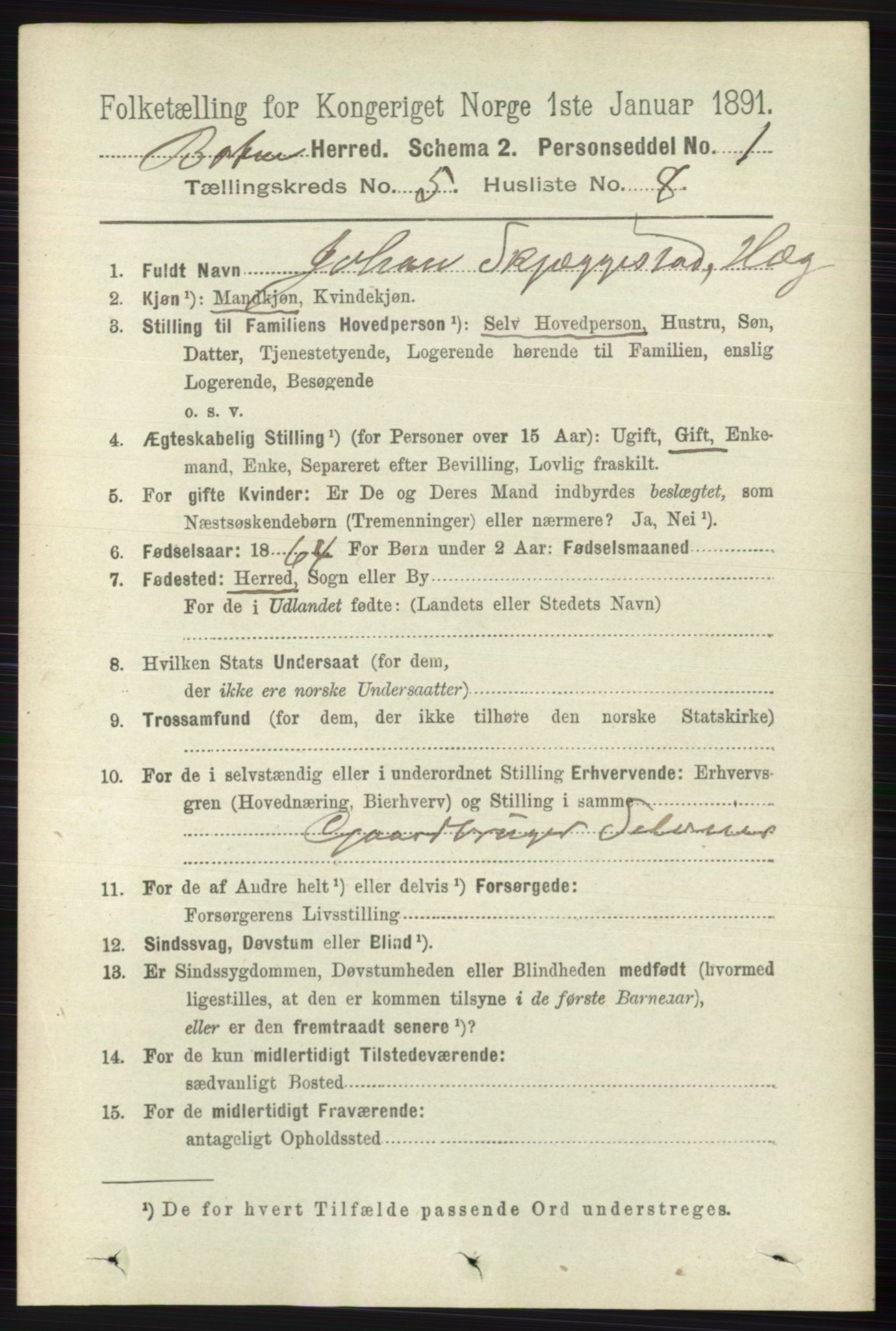 RA, 1891 census for 0715 Botne, 1891, p. 1995