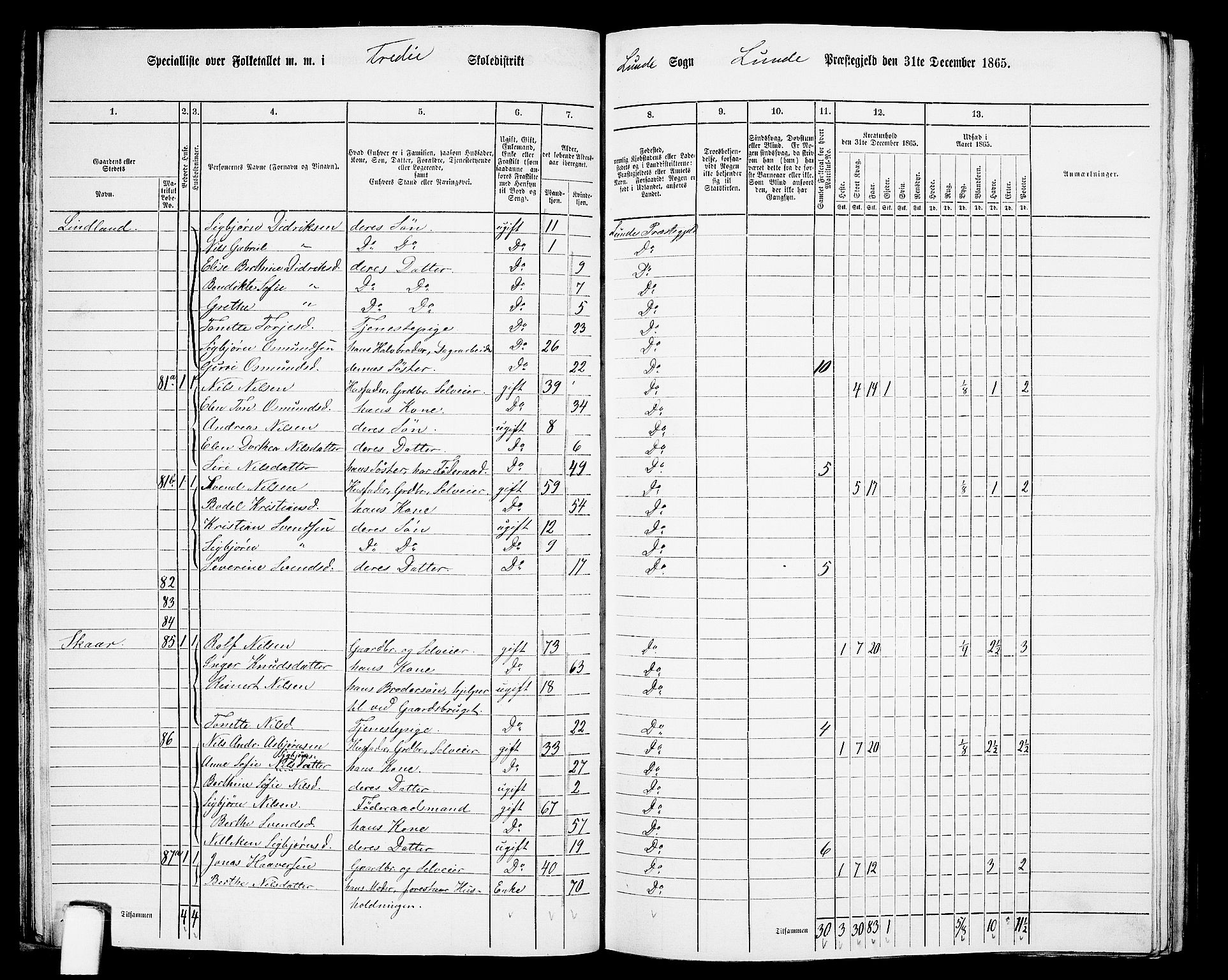 RA, 1865 census for Lund, 1865, p. 35