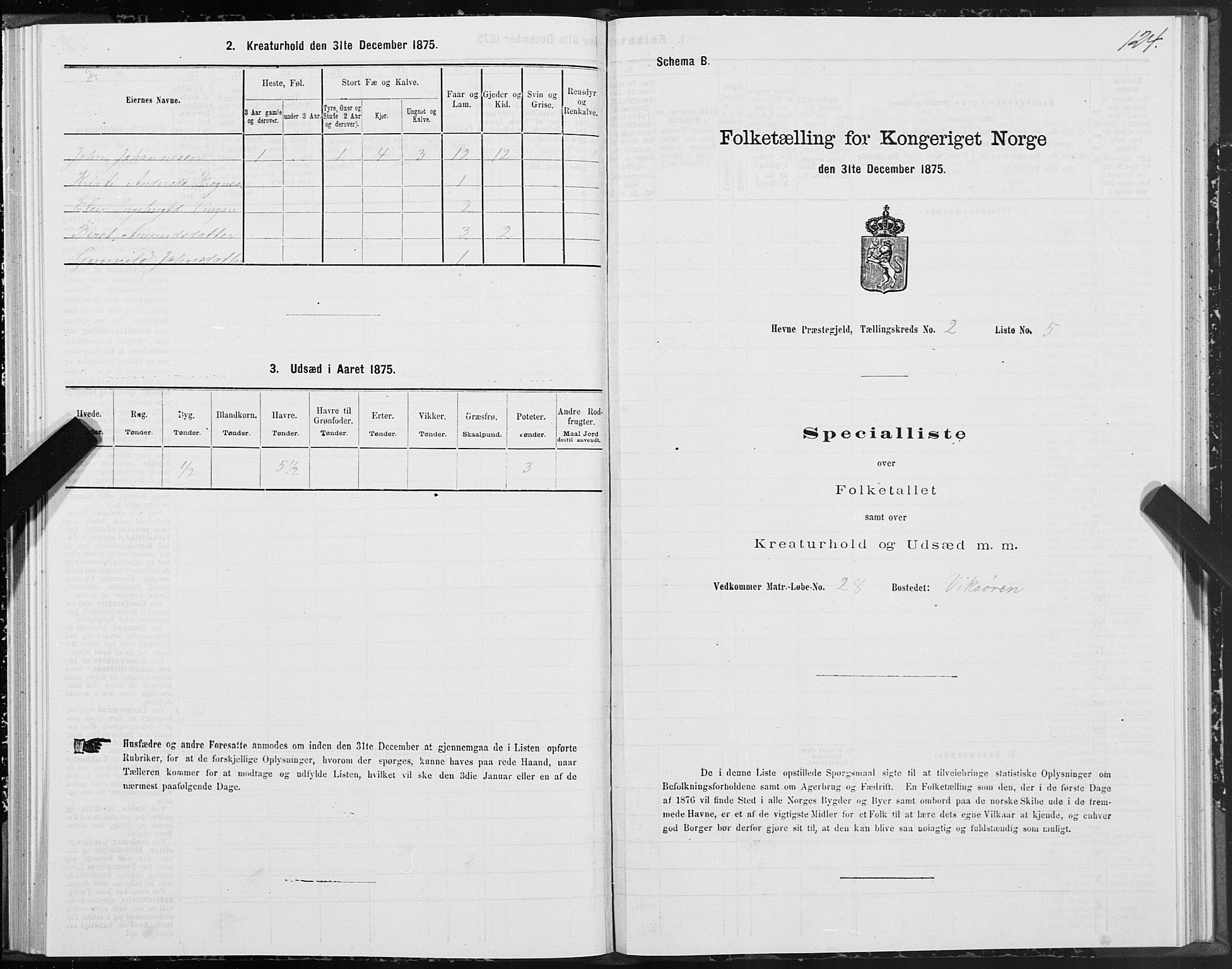 SAT, 1875 census for 1612P Hemne, 1875, p. 1124