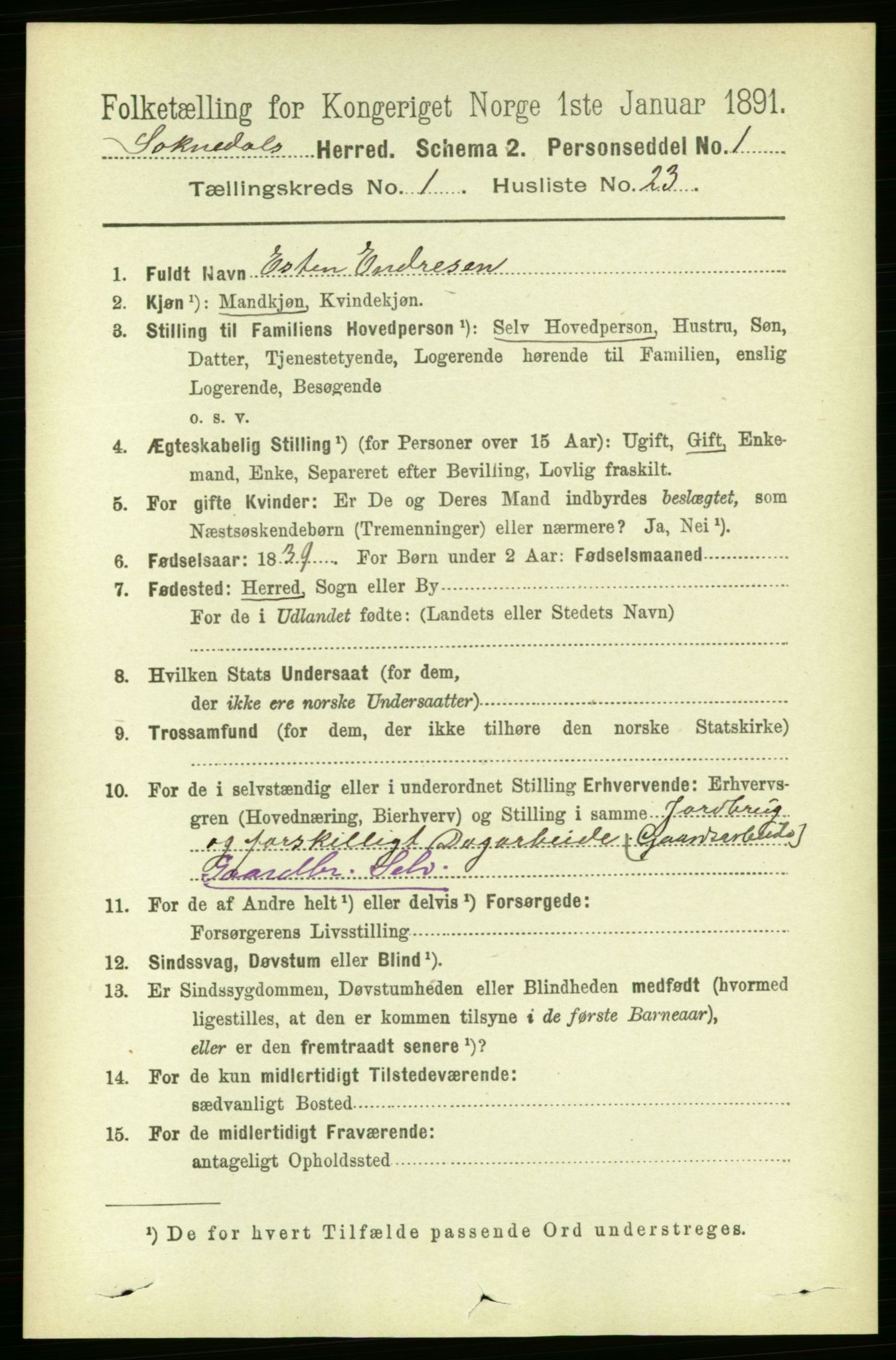 RA, 1891 census for 1649 Soknedal, 1891, p. 215