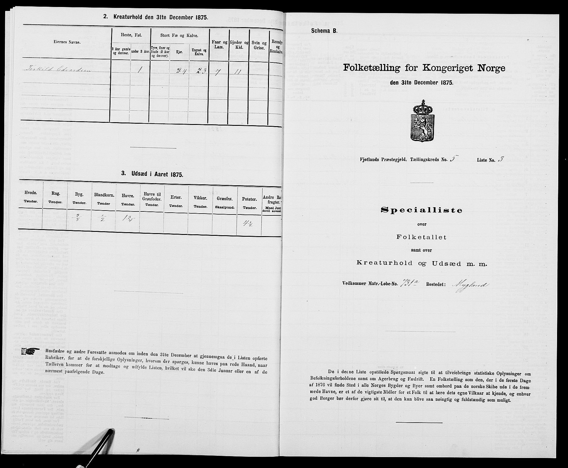 SAK, 1875 census for 1036P Fjotland, 1875, p. 303