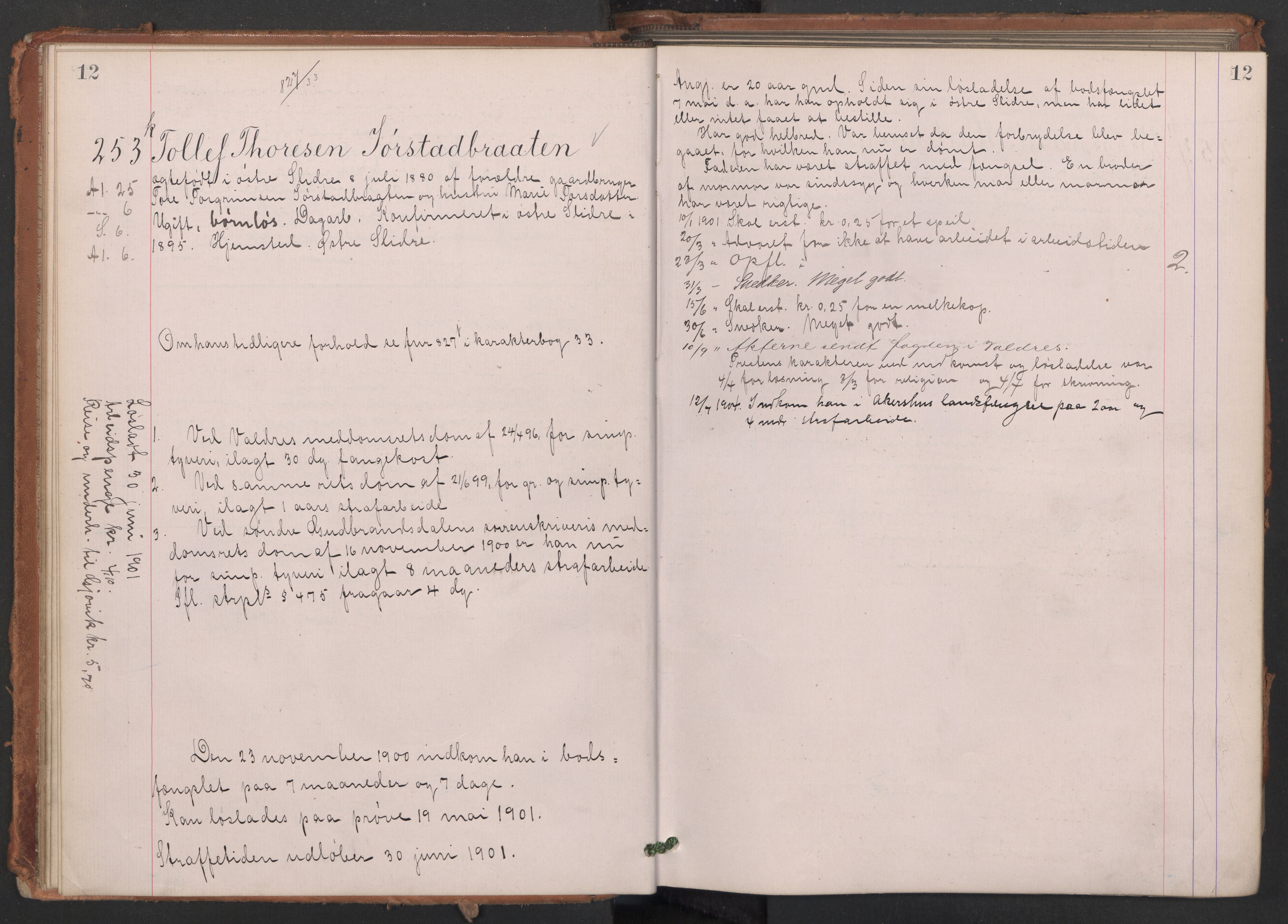 Botsfengslet, AV/RA-S-1539/D/Db/Dbb/L0035: 242k - 530k, 1900-1901, p. 12
