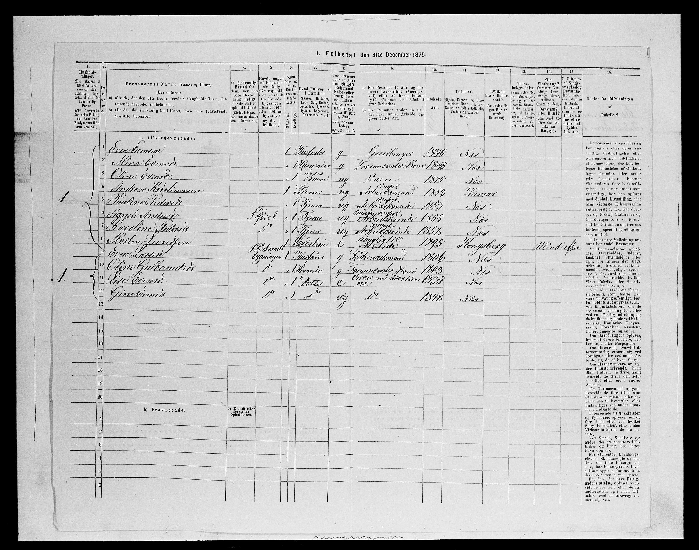 SAH, 1875 census for 0411P Nes, 1875, p. 341