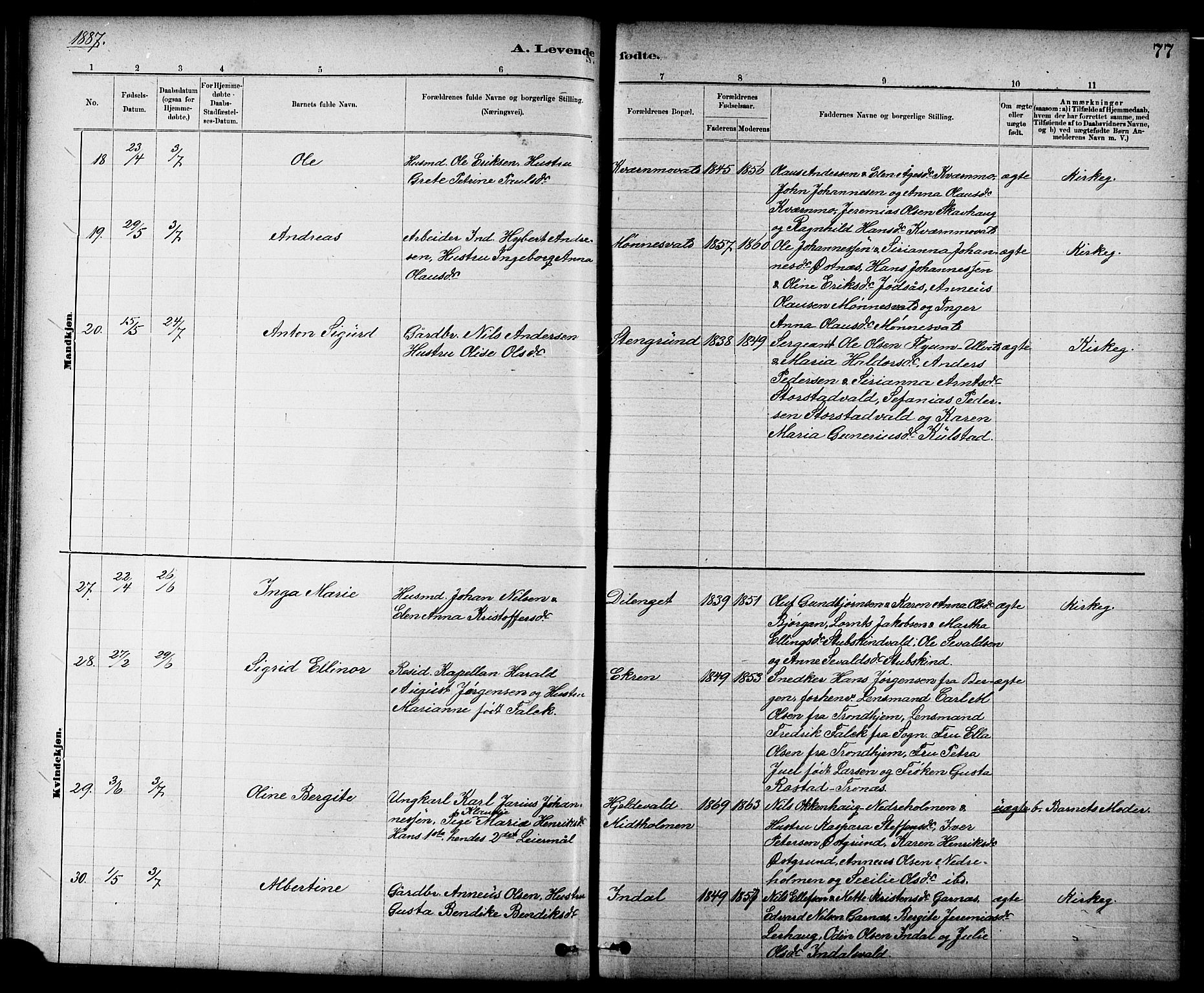 Ministerialprotokoller, klokkerbøker og fødselsregistre - Nord-Trøndelag, AV/SAT-A-1458/724/L0267: Parish register (copy) no. 724C03, 1879-1898, p. 77