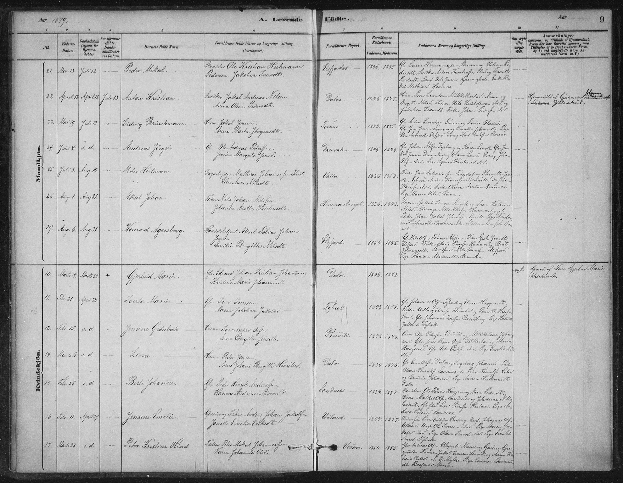 Ministerialprotokoller, klokkerbøker og fødselsregistre - Nordland, AV/SAT-A-1459/825/L0361: Parish register (official) no. 825A15, 1878-1893, p. 9