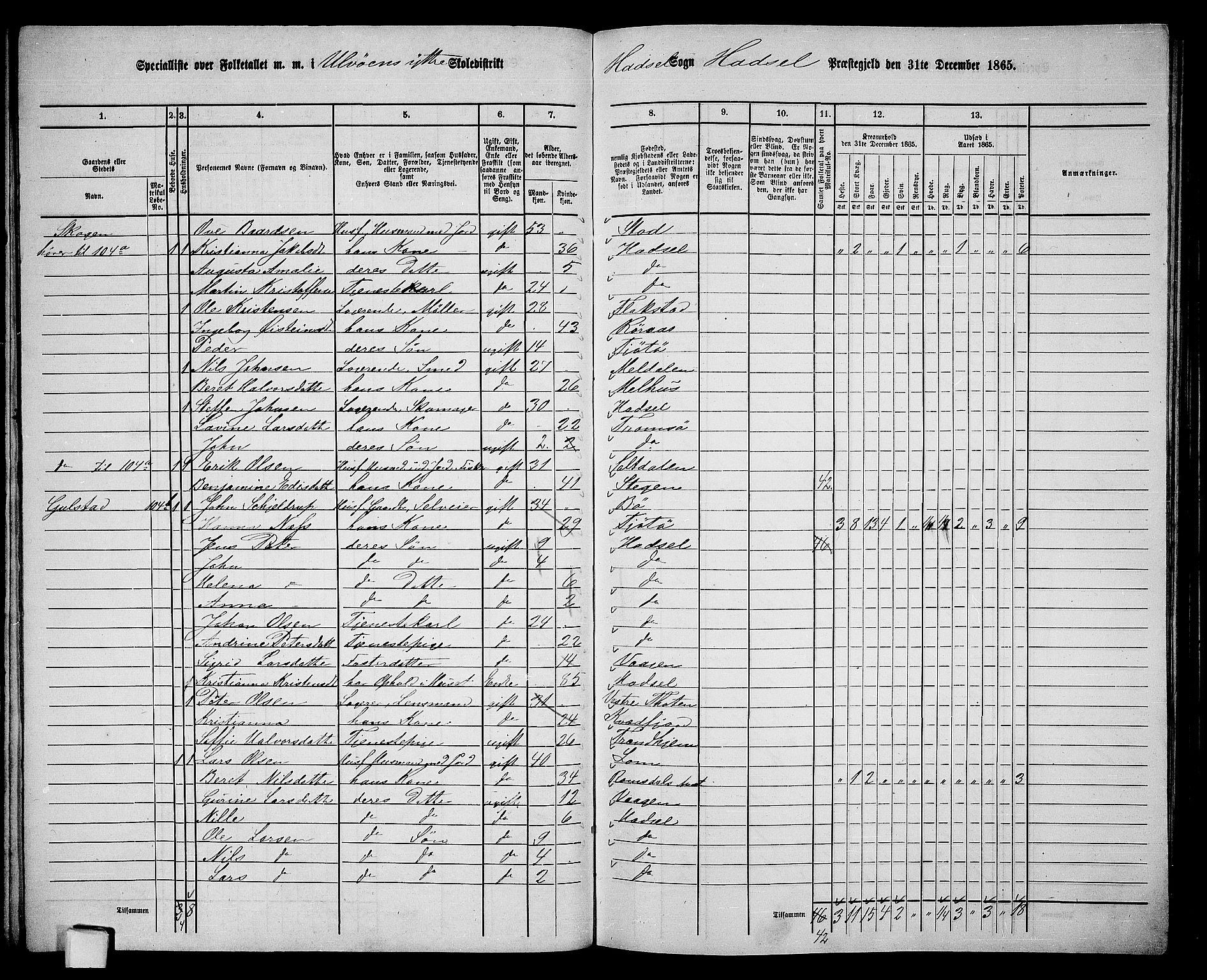 RA, 1865 census for Hadsel, 1865, p. 102