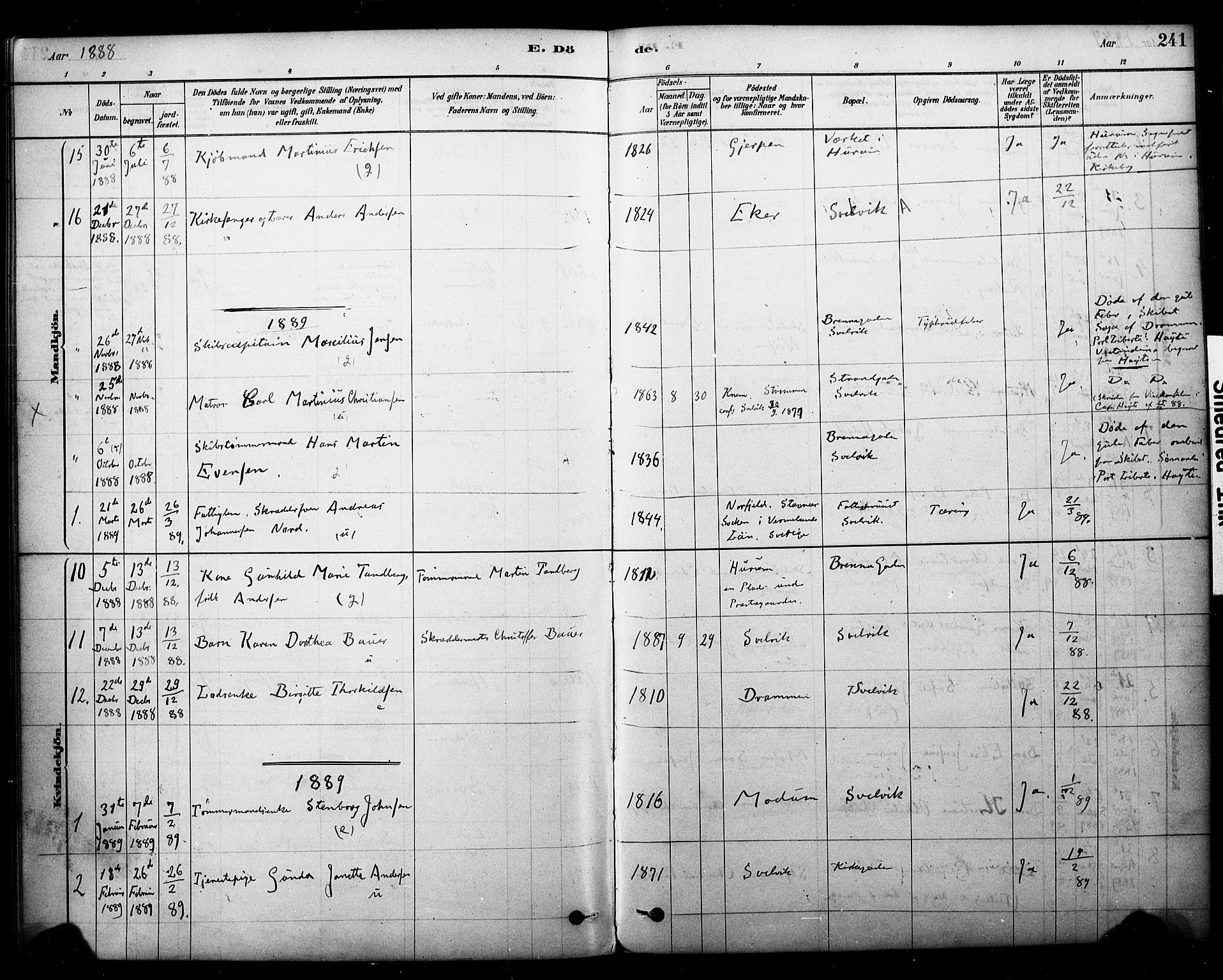 Strømm kirkebøker, AV/SAKO-A-322/F/Fb/L0001: Parish register (official) no. II 1, 1878-1899, p. 241