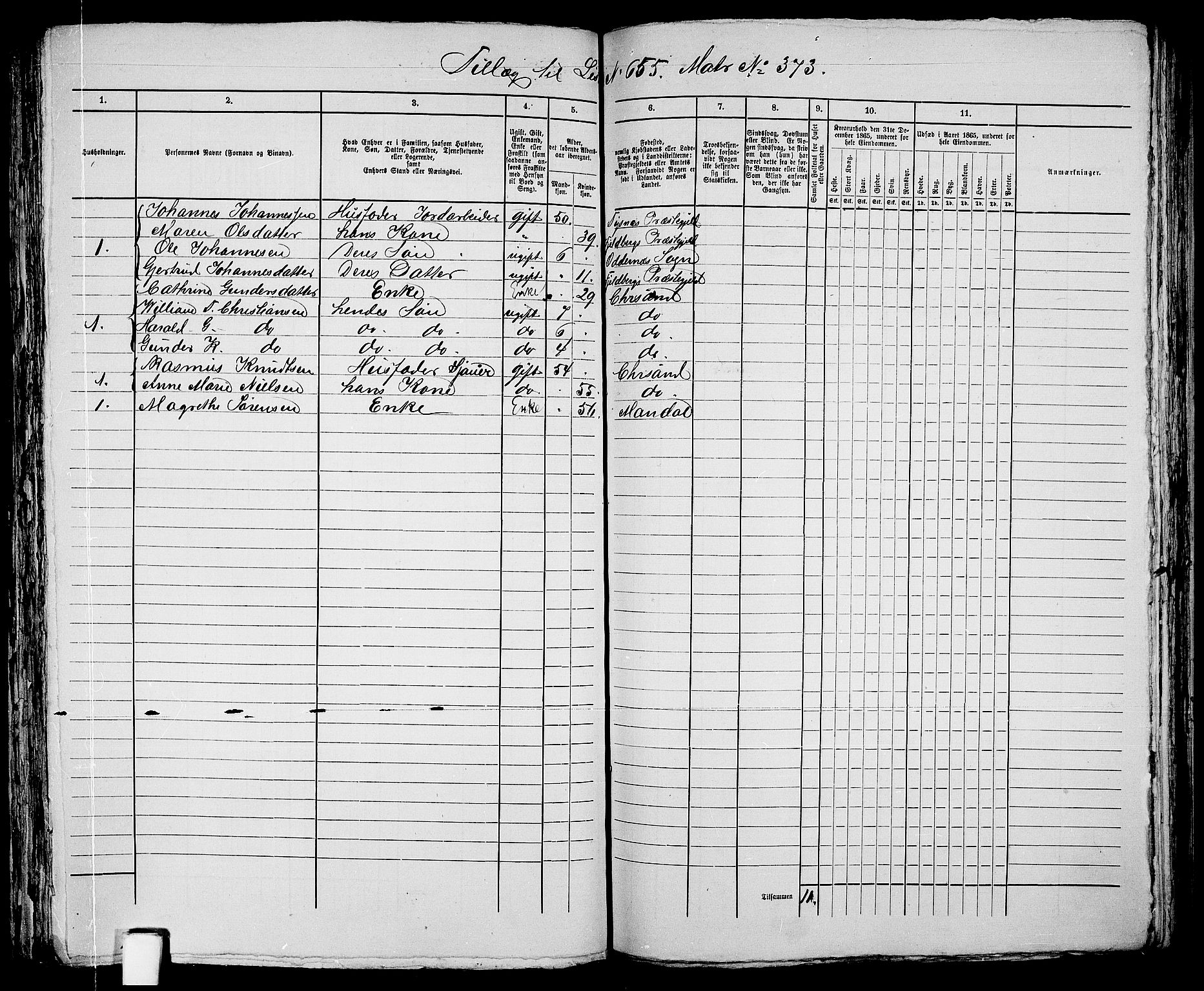 RA, 1865 census for Kristiansand, 1865, p. 1345