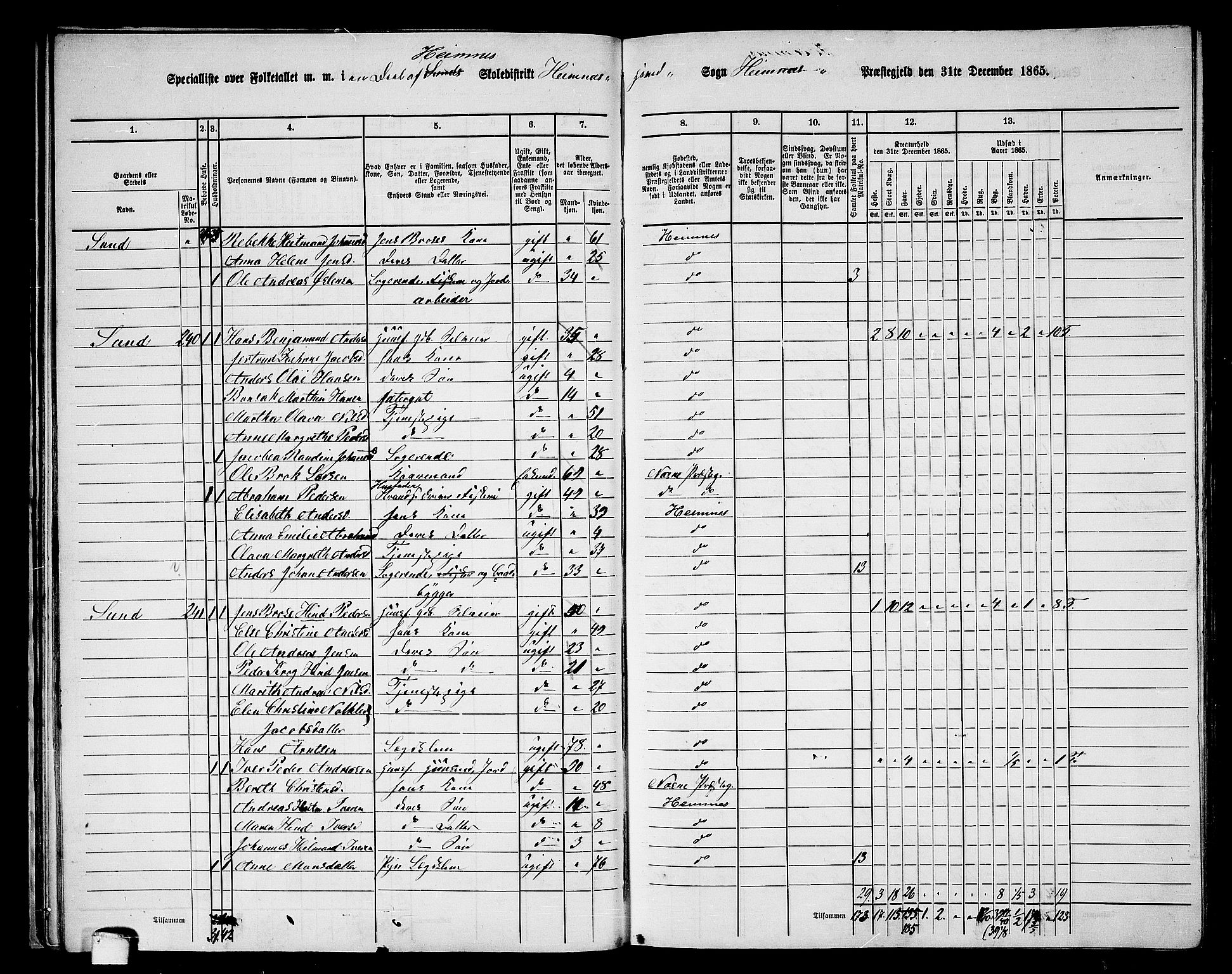 RA, 1865 census for Hemnes, 1865, p. 40