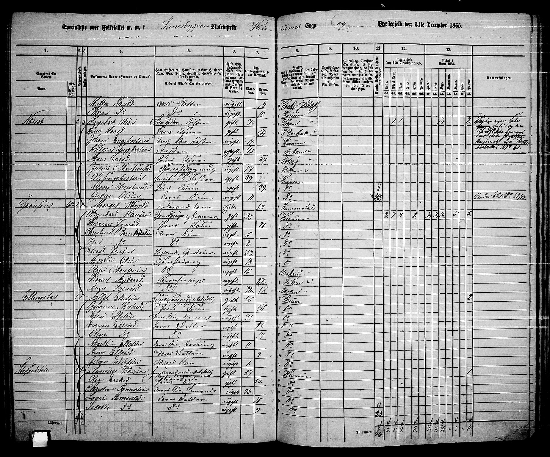 RA, 1865 census for Hurum, 1865, p. 88