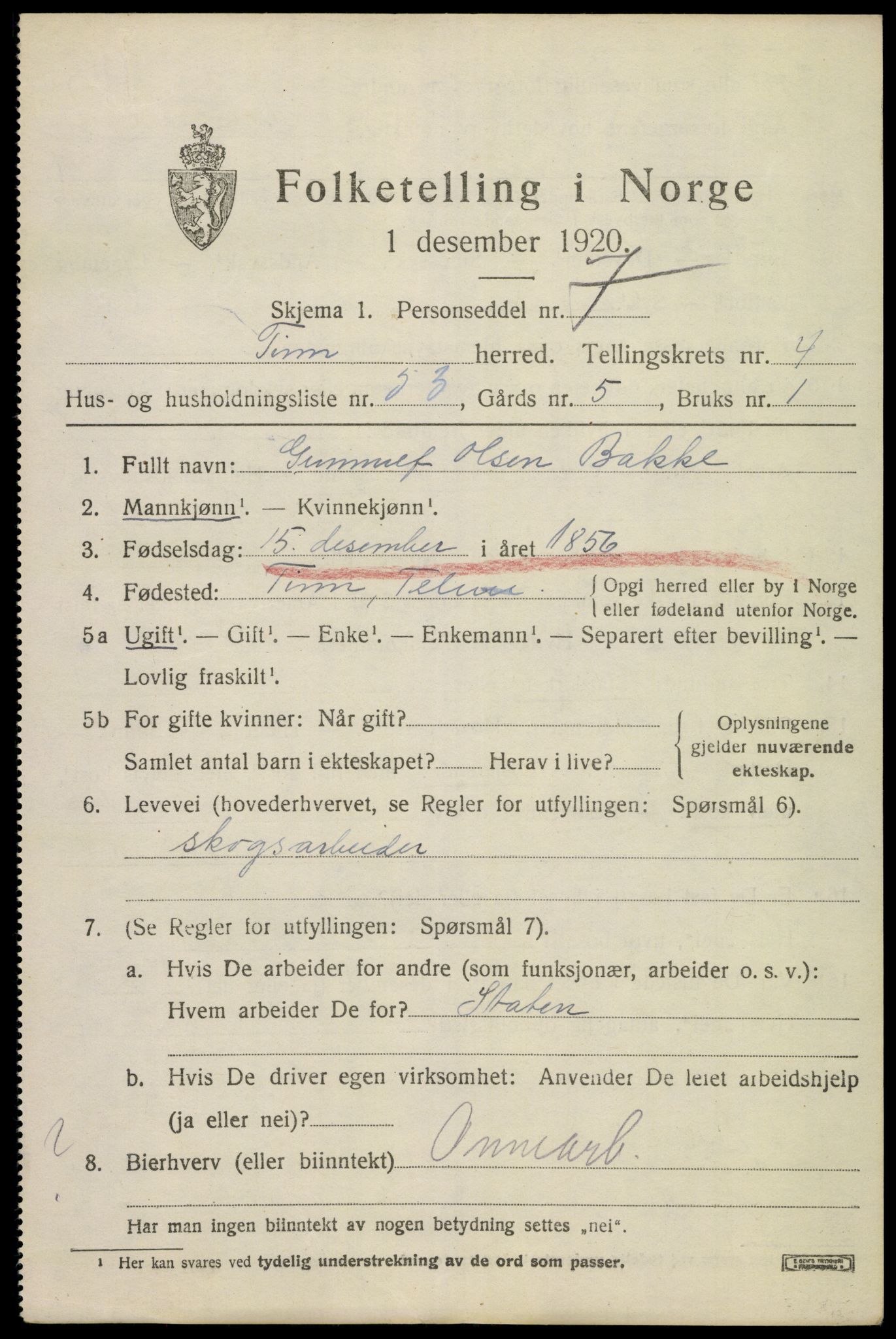 SAKO, 1920 census for Tinn, 1920, p. 4348