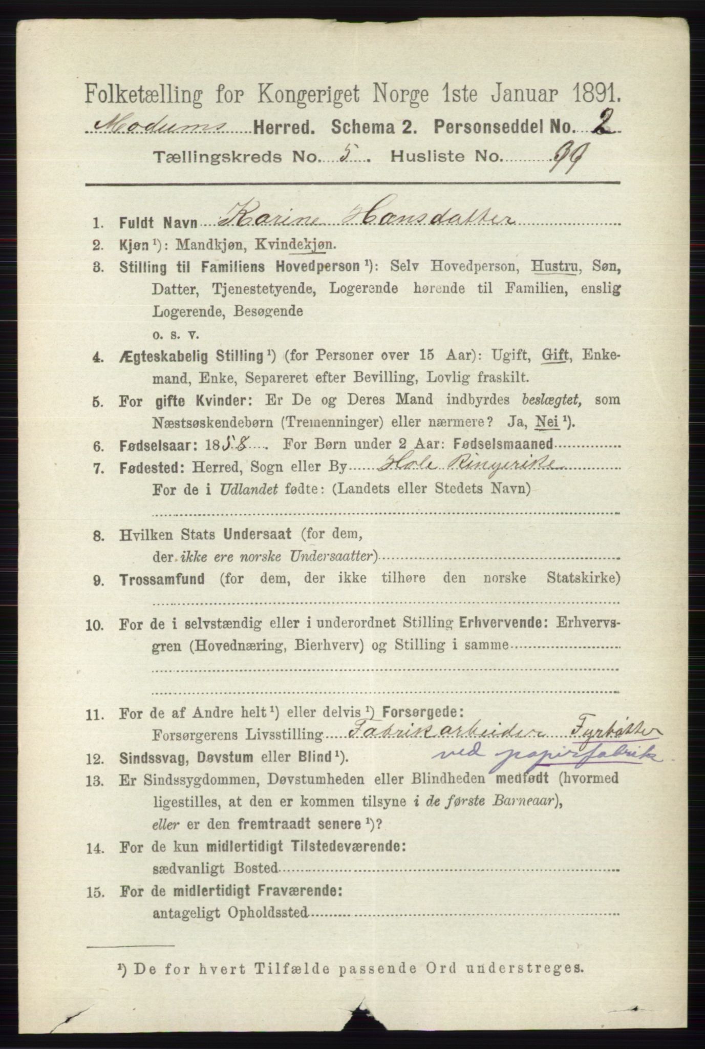 RA, 1891 census for 0623 Modum, 1891, p. 2051