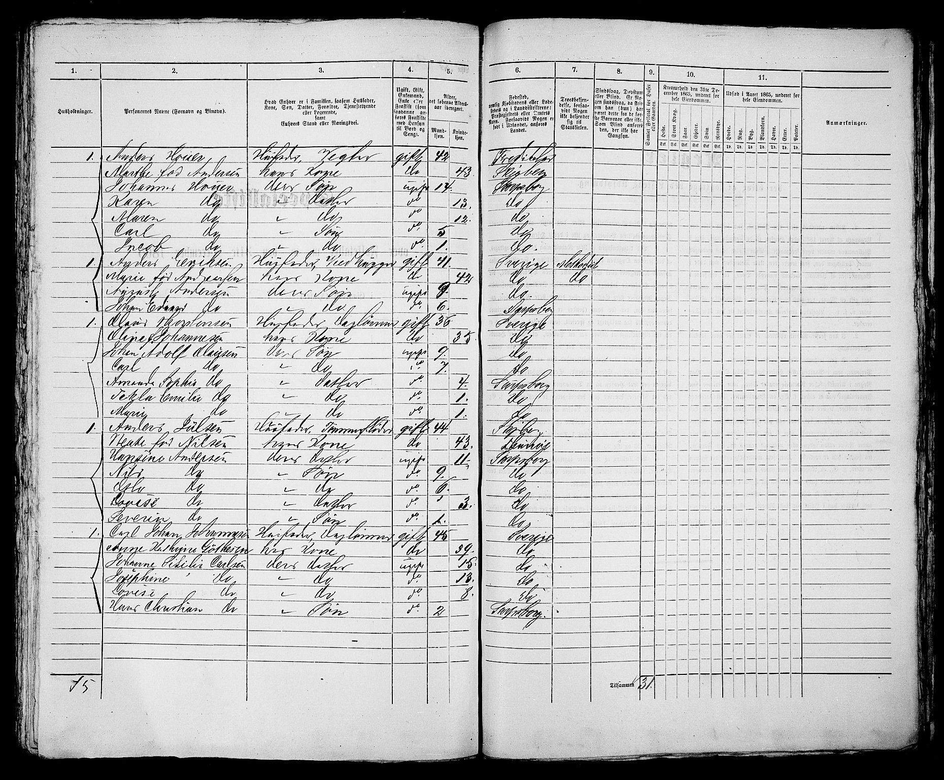 RA, 1865 census for Sarpsborg, 1865, p. 498