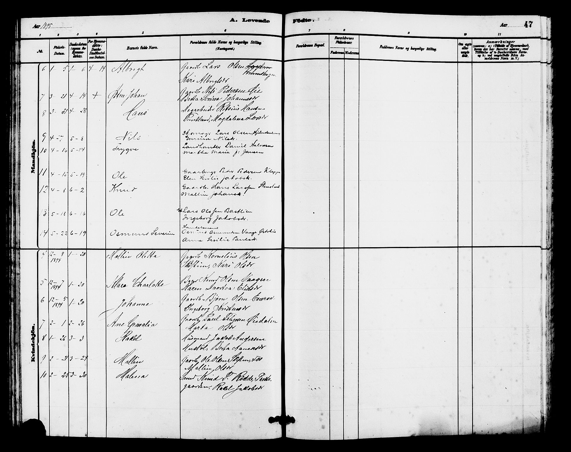 Hjelmeland sokneprestkontor, SAST/A-101843/01/V/L0007: Parish register (copy) no. B 7, 1880-1909, p. 47