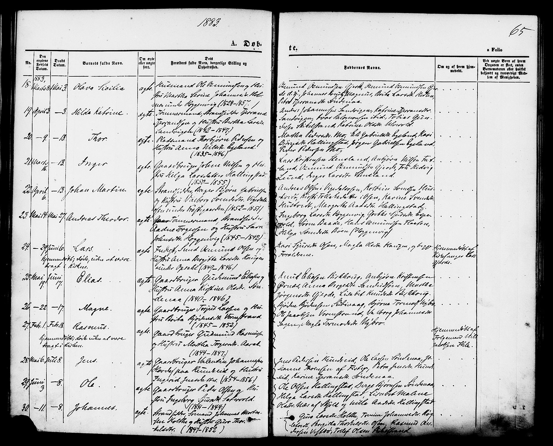 Vikedal sokneprestkontor, SAST/A-101840/01/IV: Parish register (official) no. A 7, 1868-1883, p. 65