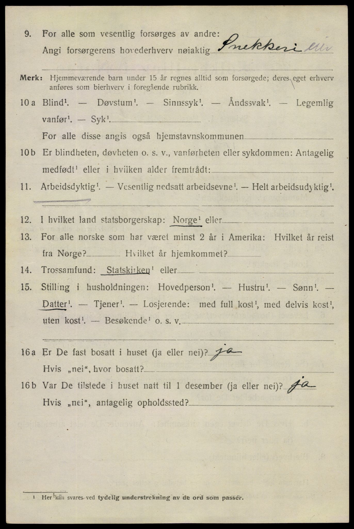 SAKO, 1920 census for Horten, 1920, p. 12070