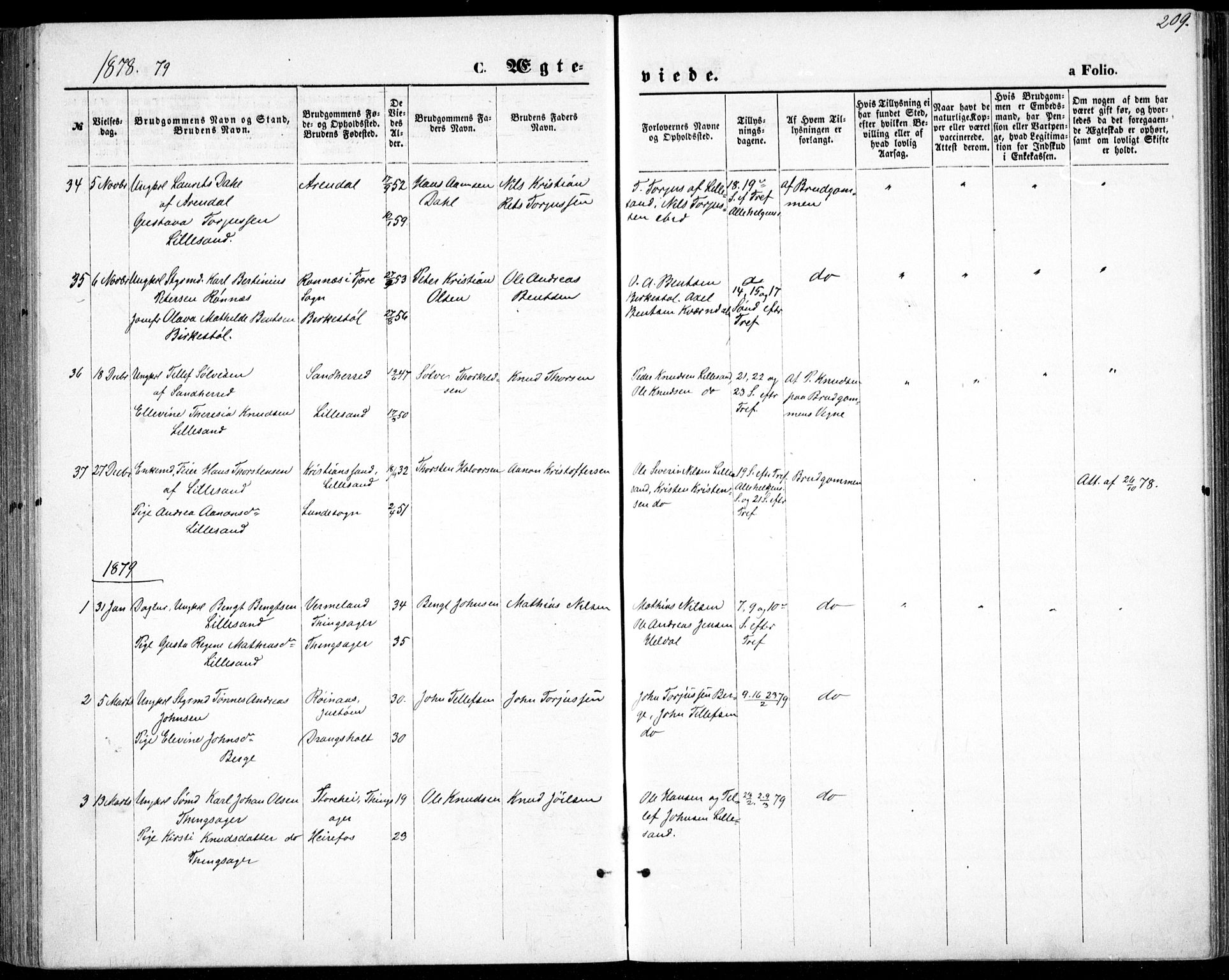 Vestre Moland sokneprestkontor, SAK/1111-0046/F/Fb/Fbb/L0005: Parish register (copy) no. B 5, 1872-1883, p. 209