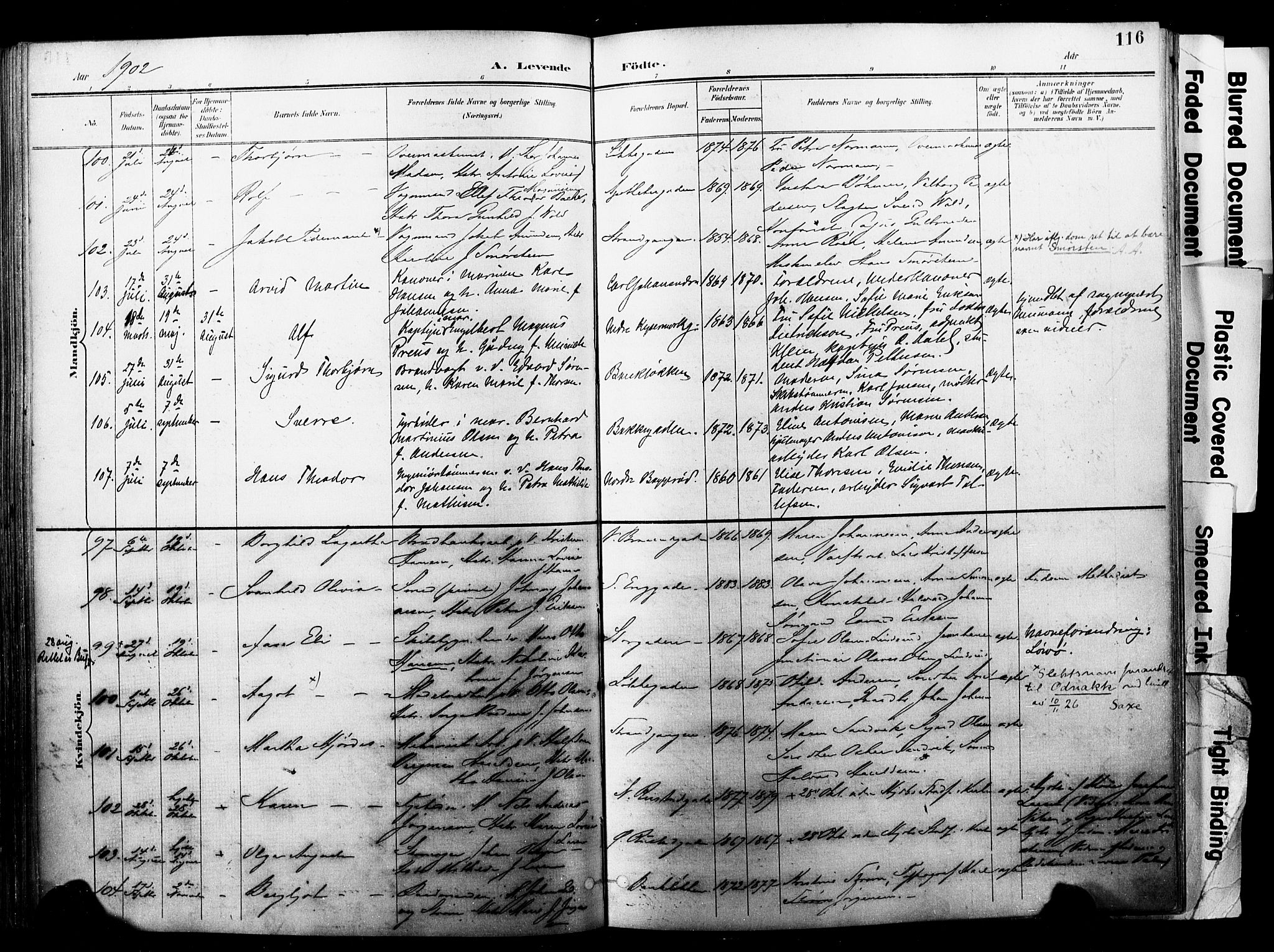 Horten kirkebøker, AV/SAKO-A-348/F/Fa/L0005: Parish register (official) no. 5, 1896-1904, p. 116