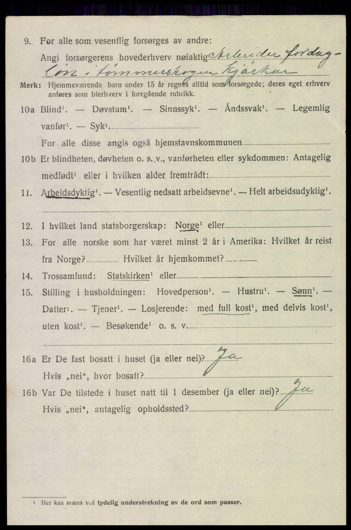 SAH, 1920 census for Trysil, 1920, p. 13032
