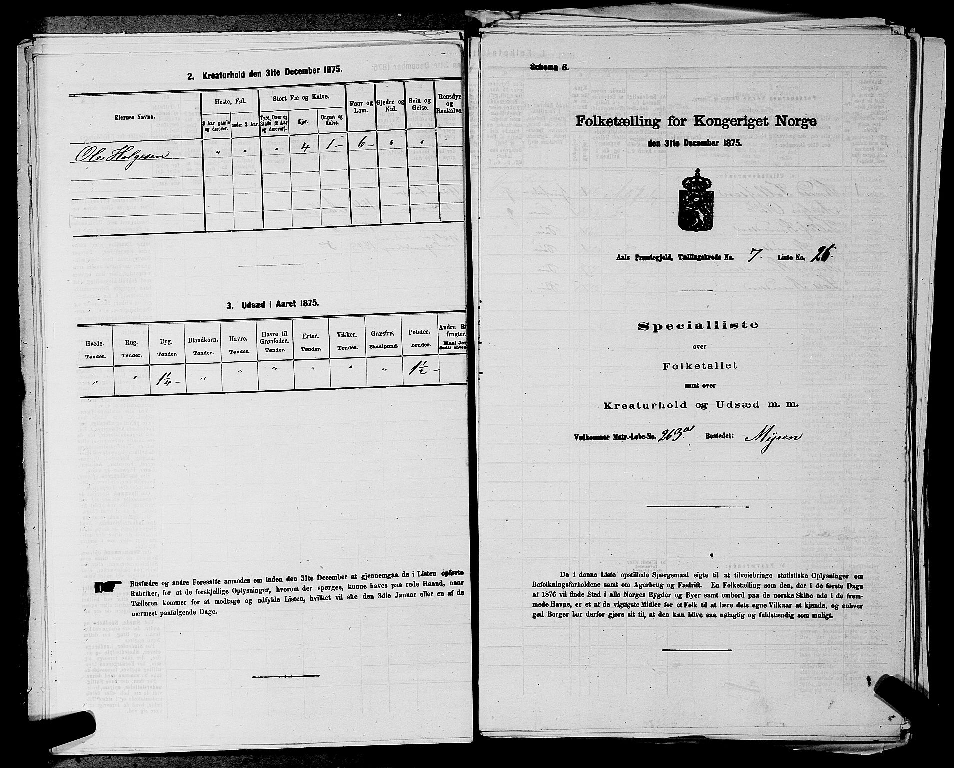 SAKO, 1875 census for 0619P Ål, 1875, p. 888