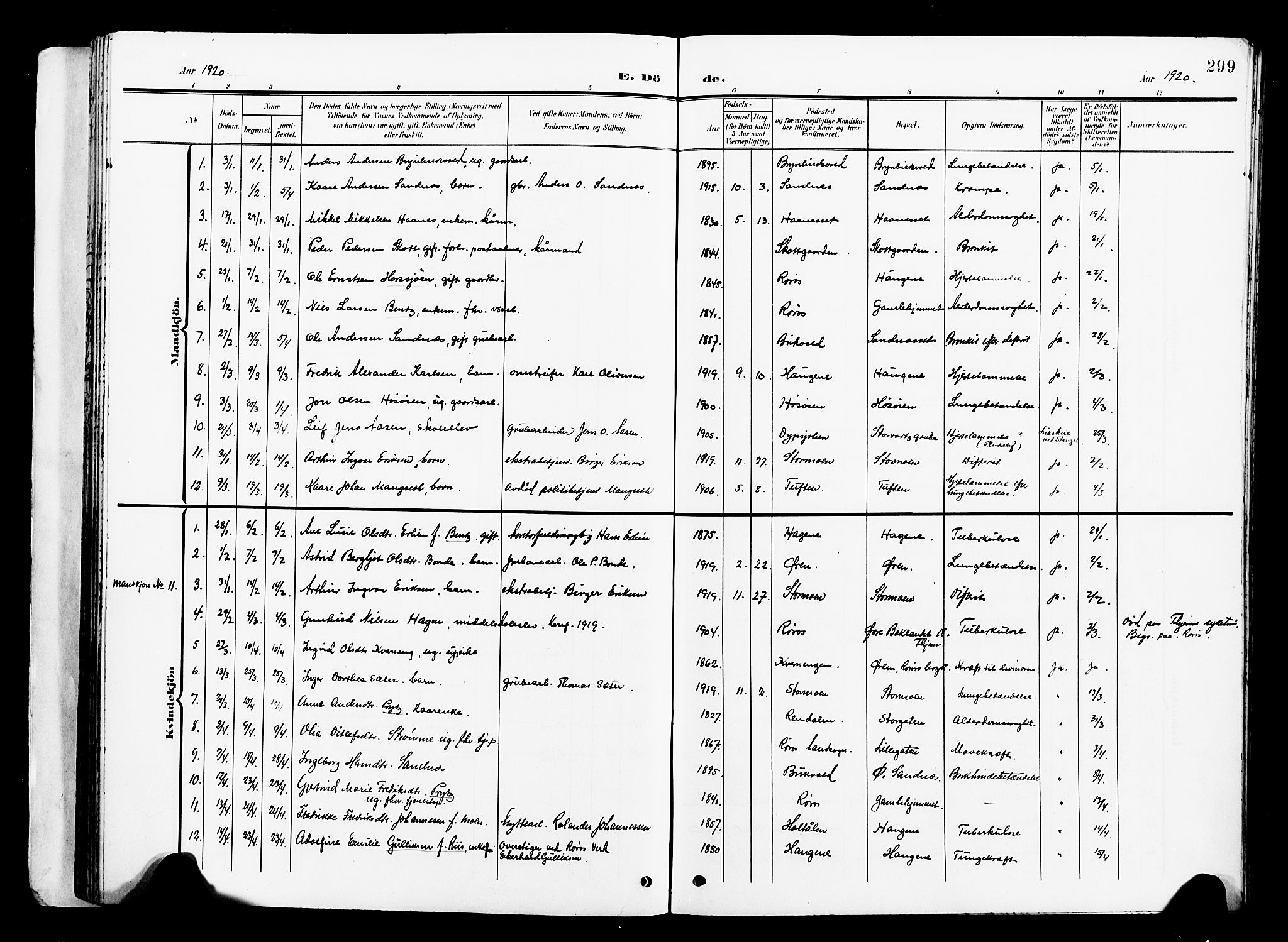 Ministerialprotokoller, klokkerbøker og fødselsregistre - Sør-Trøndelag, SAT/A-1456/681/L0942: Parish register (copy) no. 681C06, 1906-1925, p. 299