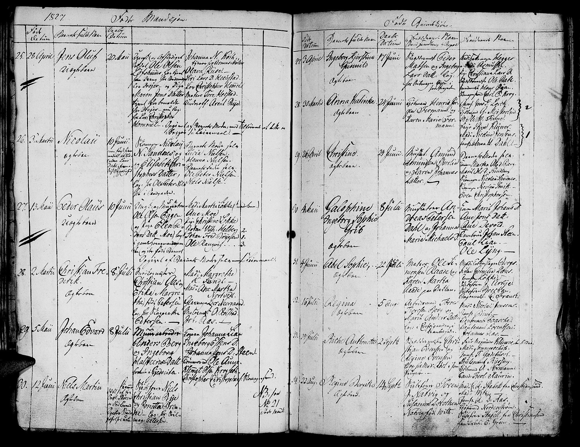 Ministerialprotokoller, klokkerbøker og fødselsregistre - Sør-Trøndelag, AV/SAT-A-1456/602/L0135: Parish register (copy) no. 602C03, 1815-1832