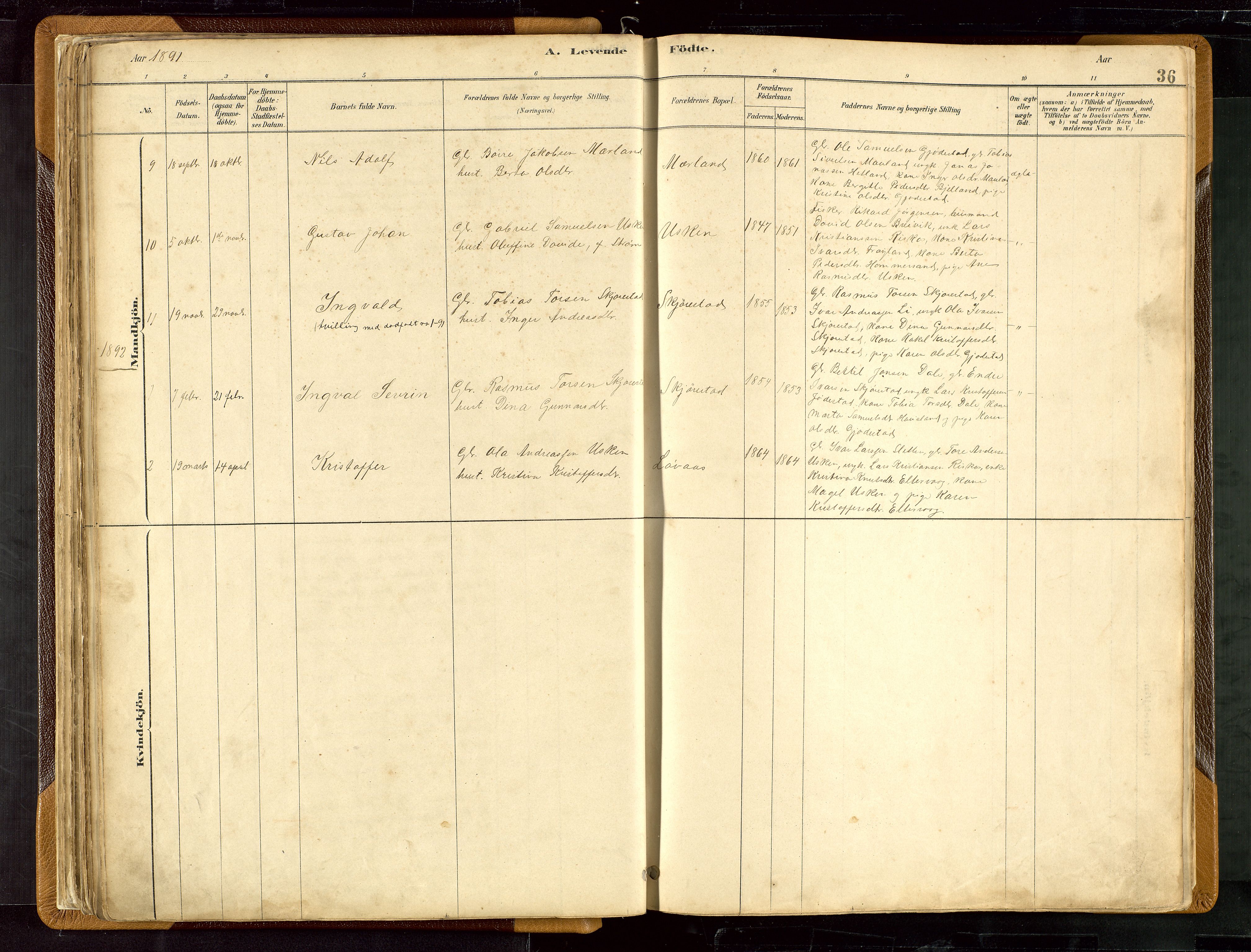 Hetland sokneprestkontor, AV/SAST-A-101826/30/30BB/L0007: Parish register (copy) no. B 7, 1878-1910, p. 36