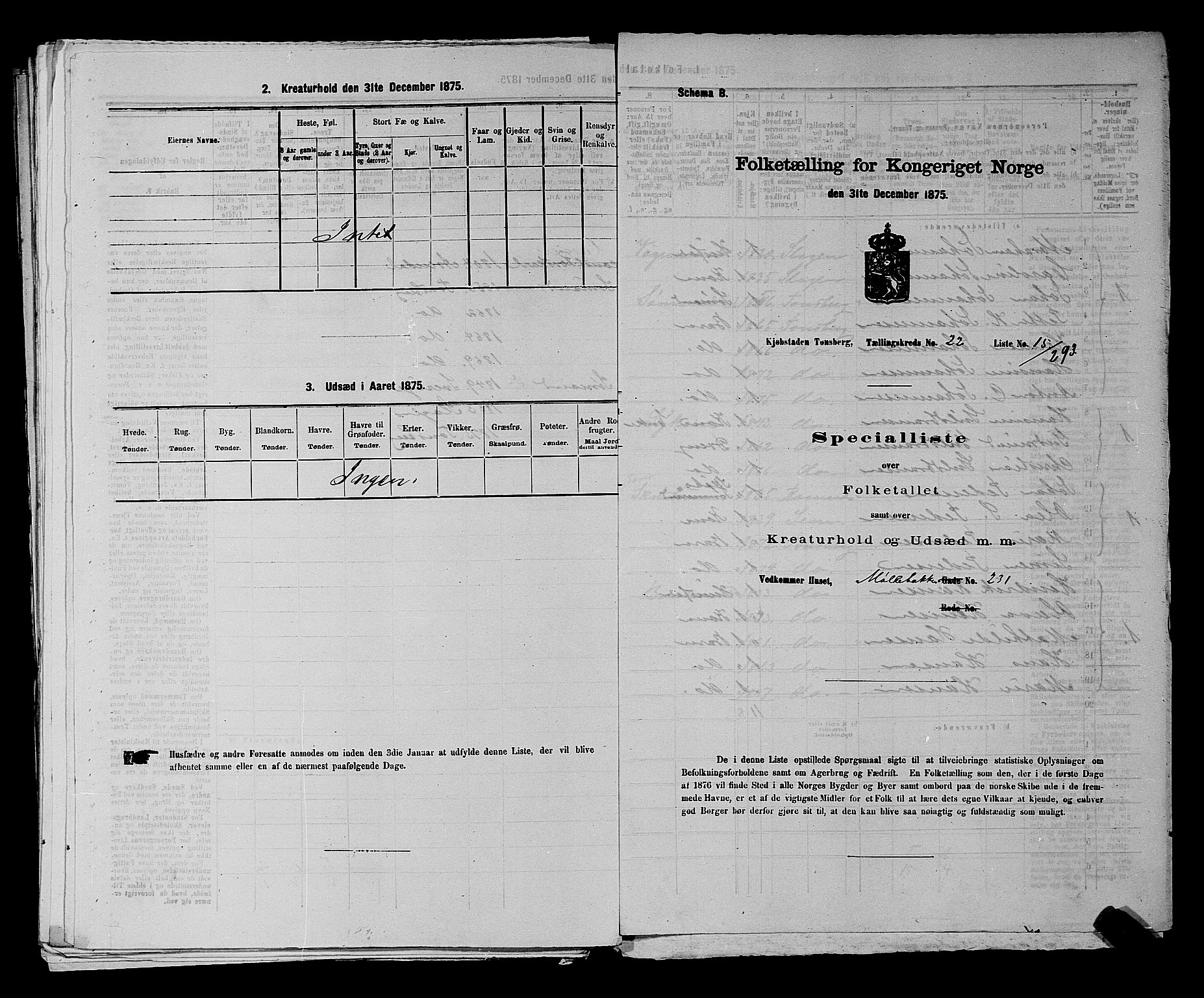 SAKO, 1875 census for 0705P Tønsberg, 1875, p. 719