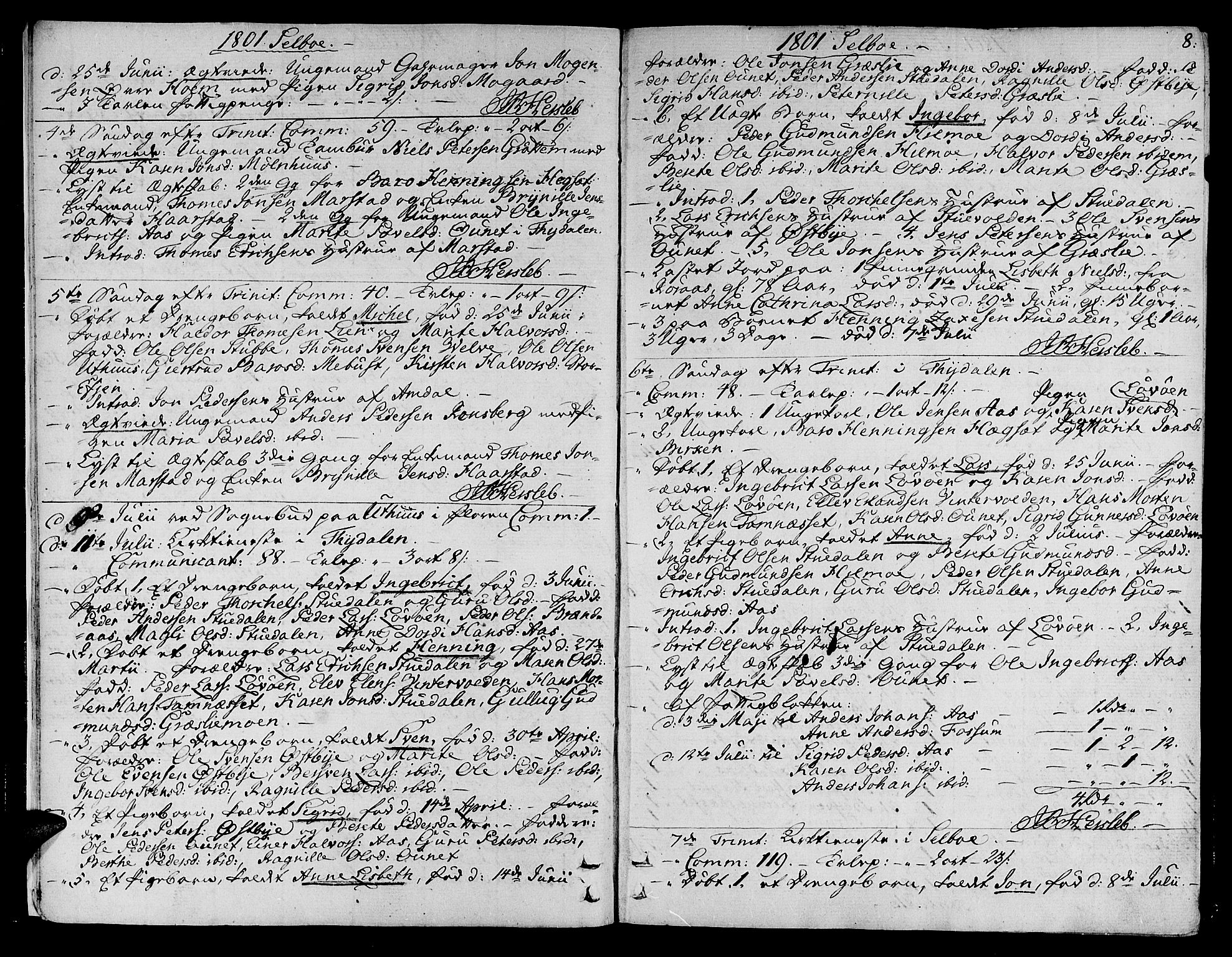 Ministerialprotokoller, klokkerbøker og fødselsregistre - Sør-Trøndelag, SAT/A-1456/695/L1140: Parish register (official) no. 695A03, 1801-1815, p. 8