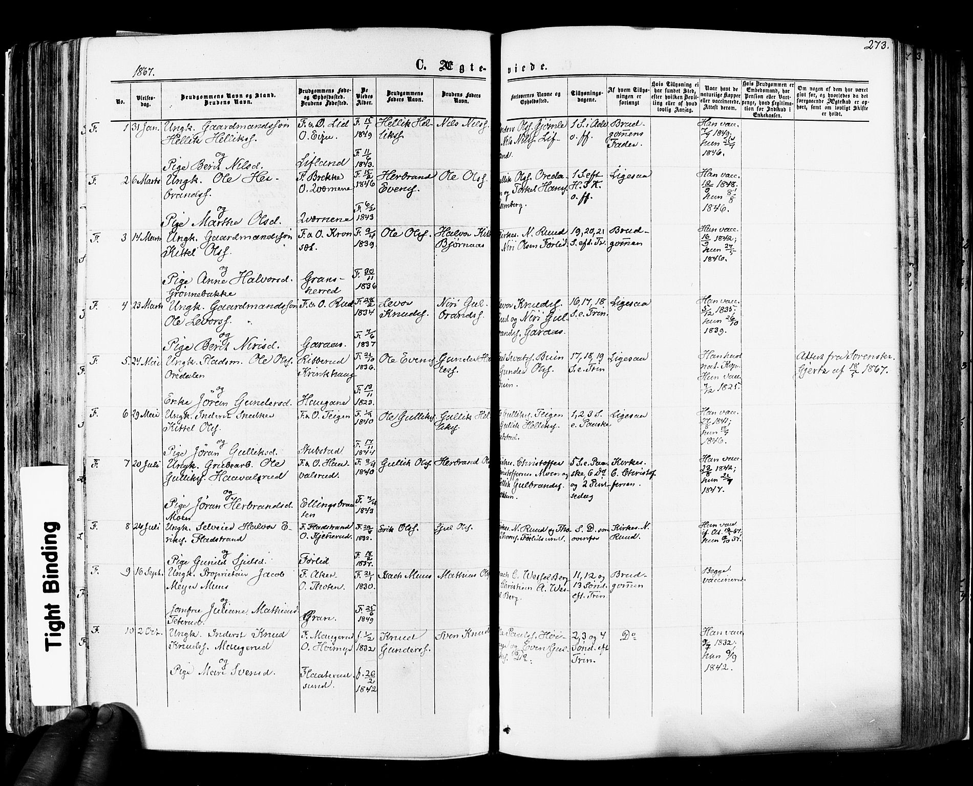 Flesberg kirkebøker, SAKO/A-18/F/Fa/L0007: Parish register (official) no. I 7, 1861-1878, p. 273