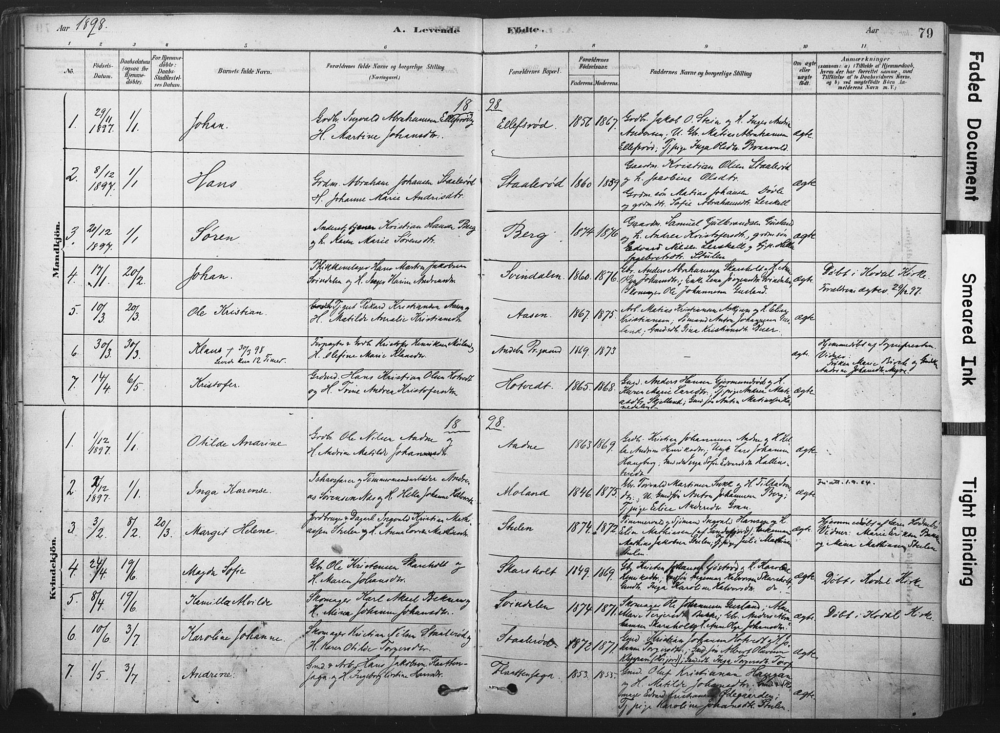 Andebu kirkebøker, AV/SAKO-A-336/F/Fa/L0007: Parish register (official) no. 7, 1878-1899, p. 79