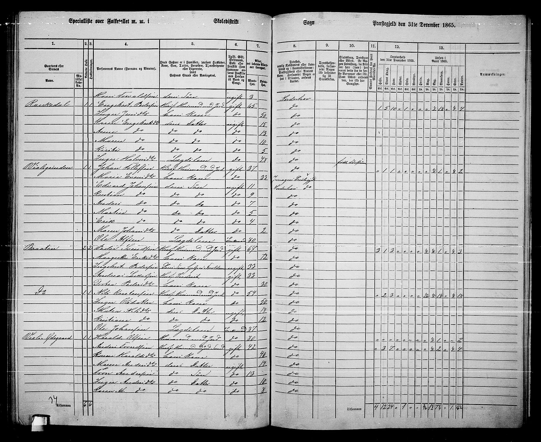 RA, 1865 census for Norderhov/Norderhov, Haug og Lunder, 1865, p. 248