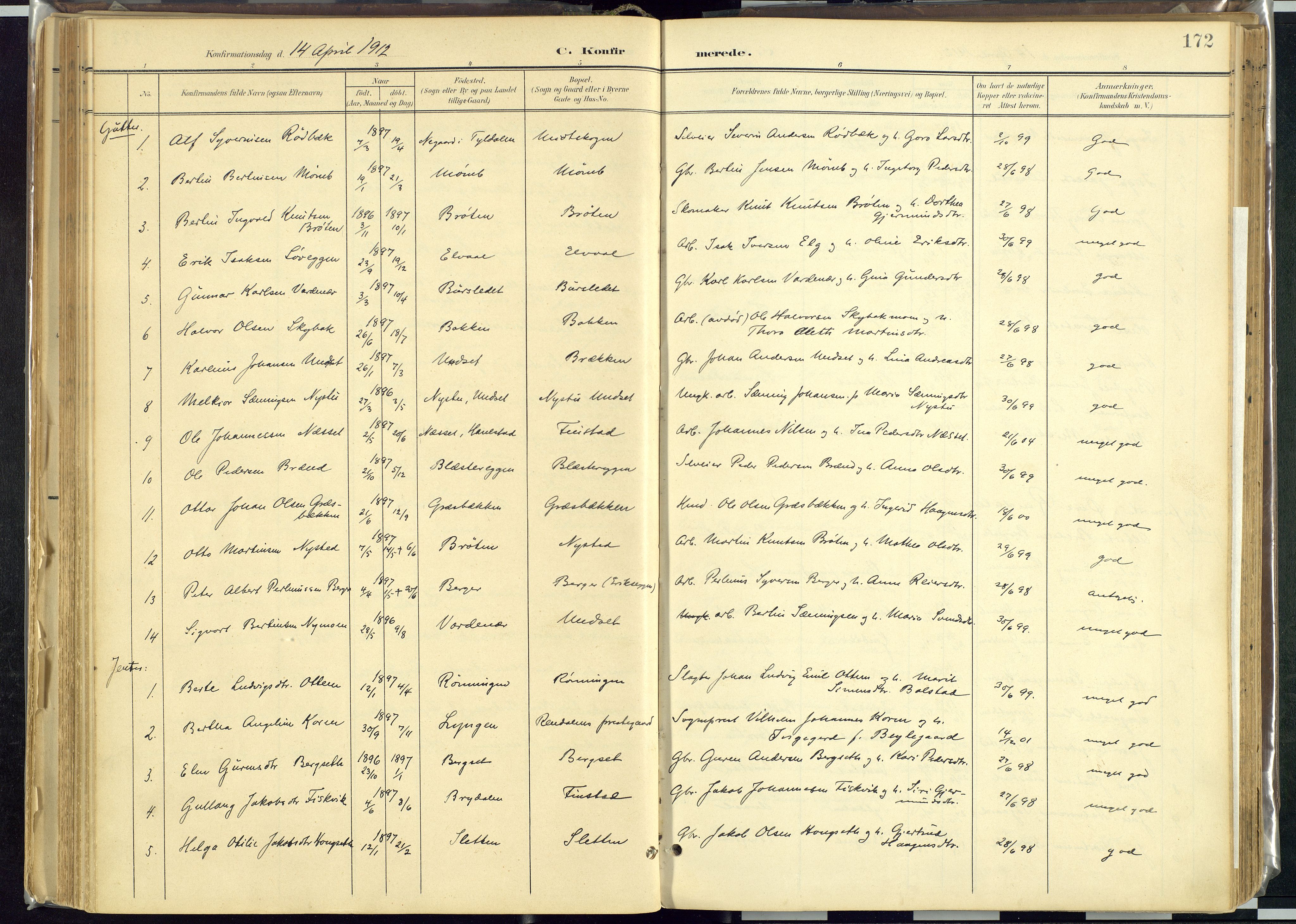 Rendalen prestekontor, AV/SAH-PREST-054/H/Ha/Haa/L0012: Parish register (official) no. 12, 1901-1928, p. 172