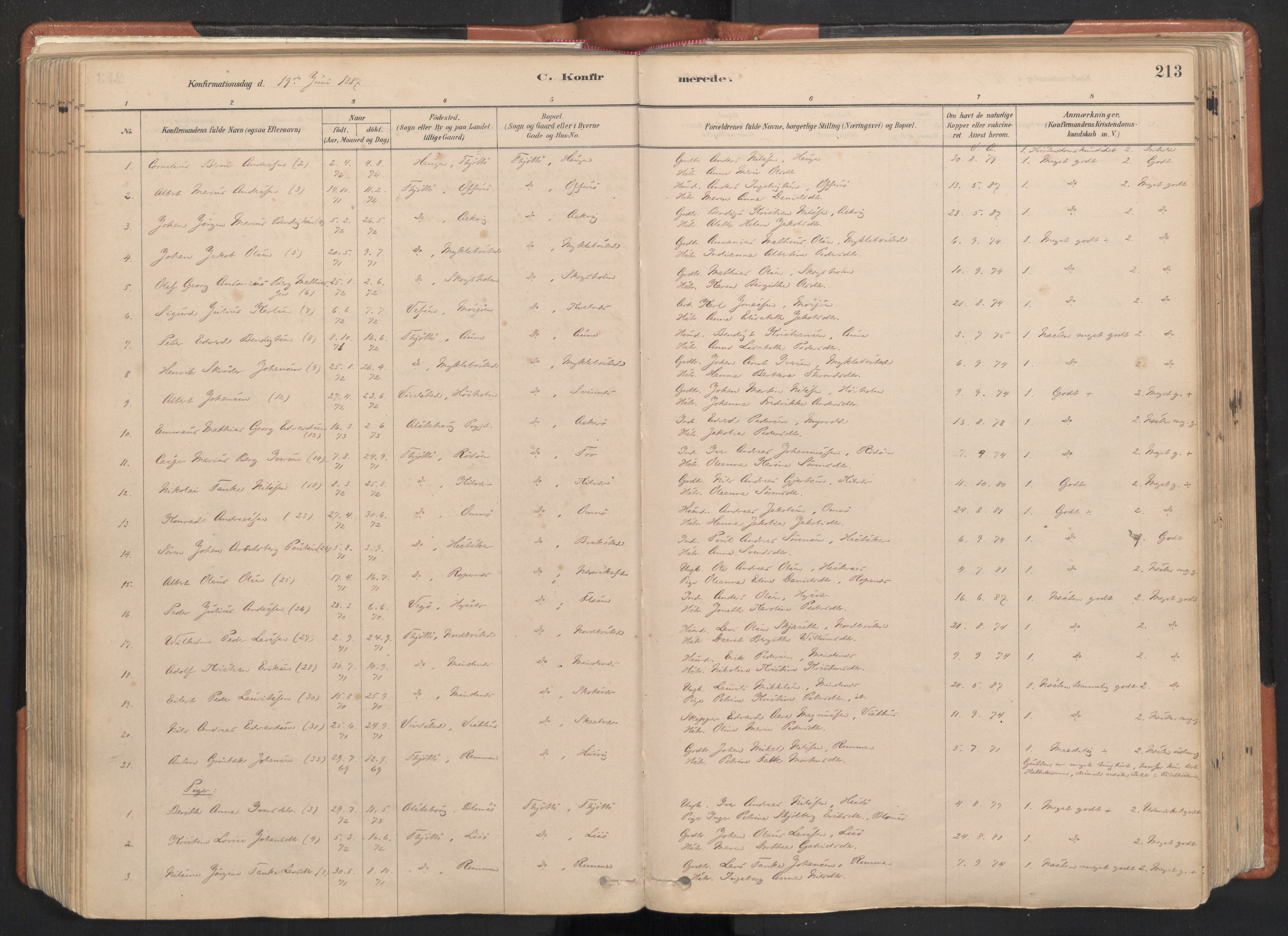 Ministerialprotokoller, klokkerbøker og fødselsregistre - Nordland, SAT/A-1459/817/L0264: Parish register (official) no. 817A04, 1878-1907, p. 213